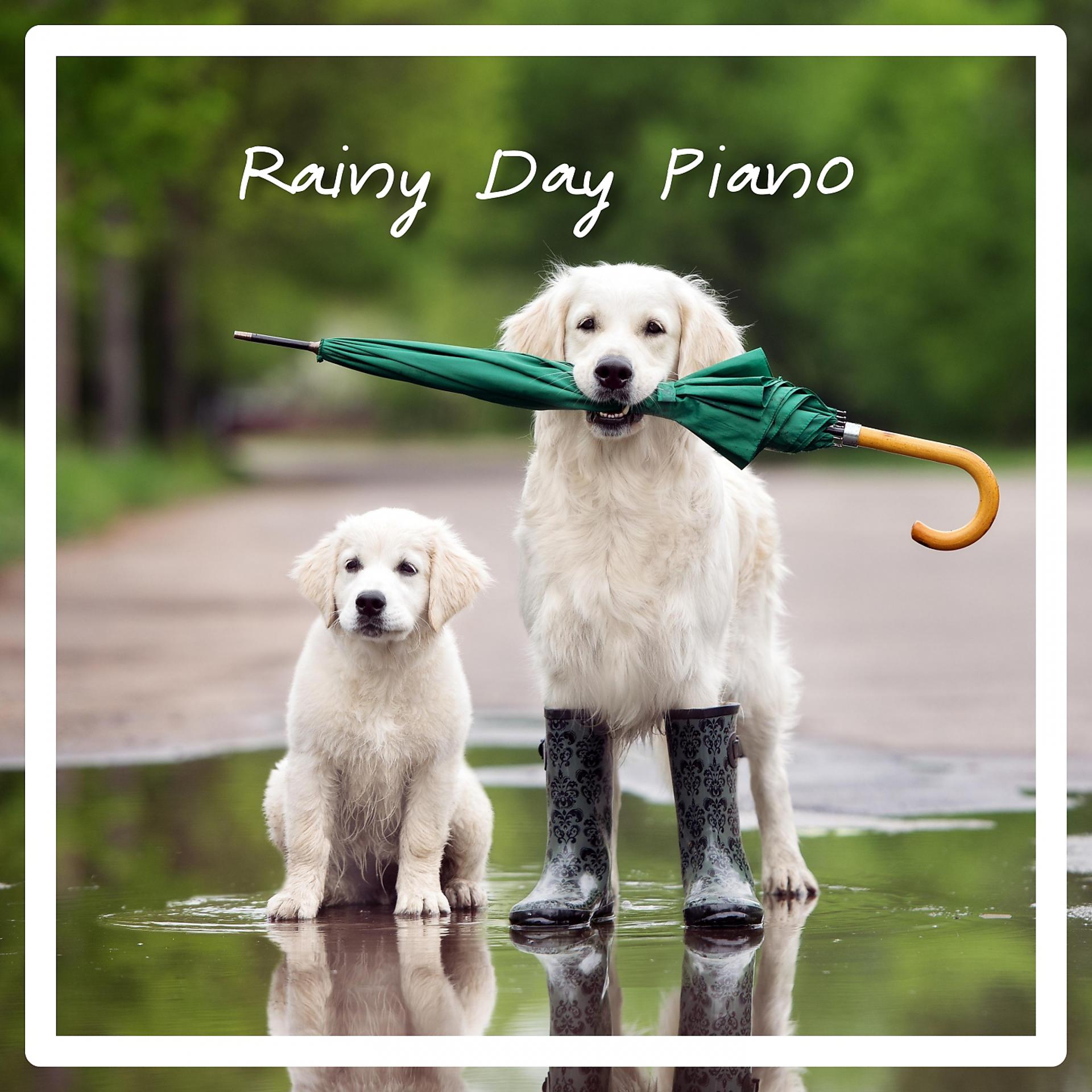 Постер альбома Rainy Day Piano