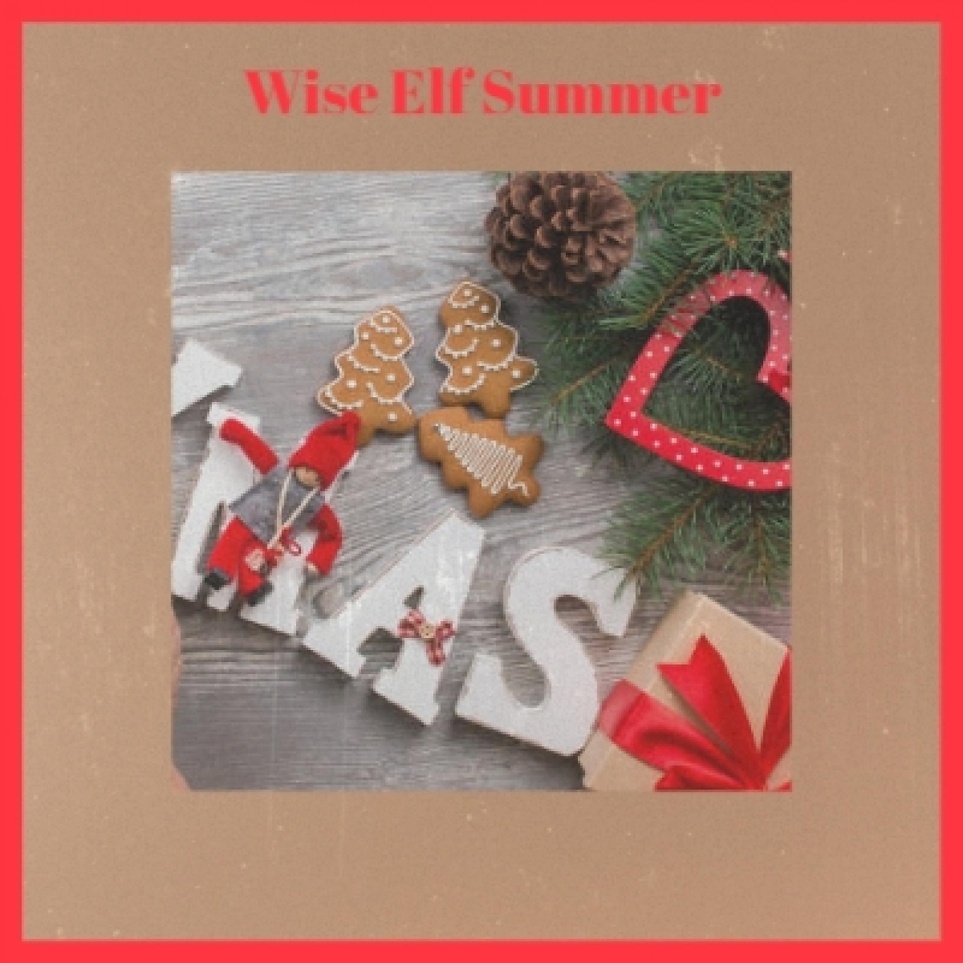Постер альбома Wise Elf Summer