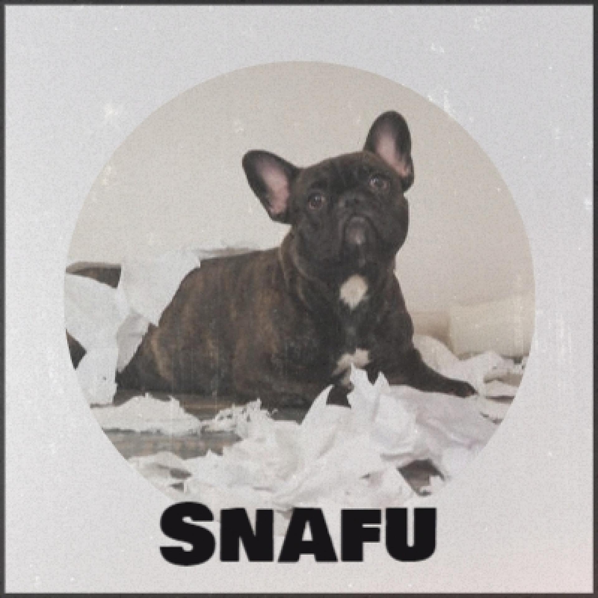 Постер альбома Snafu