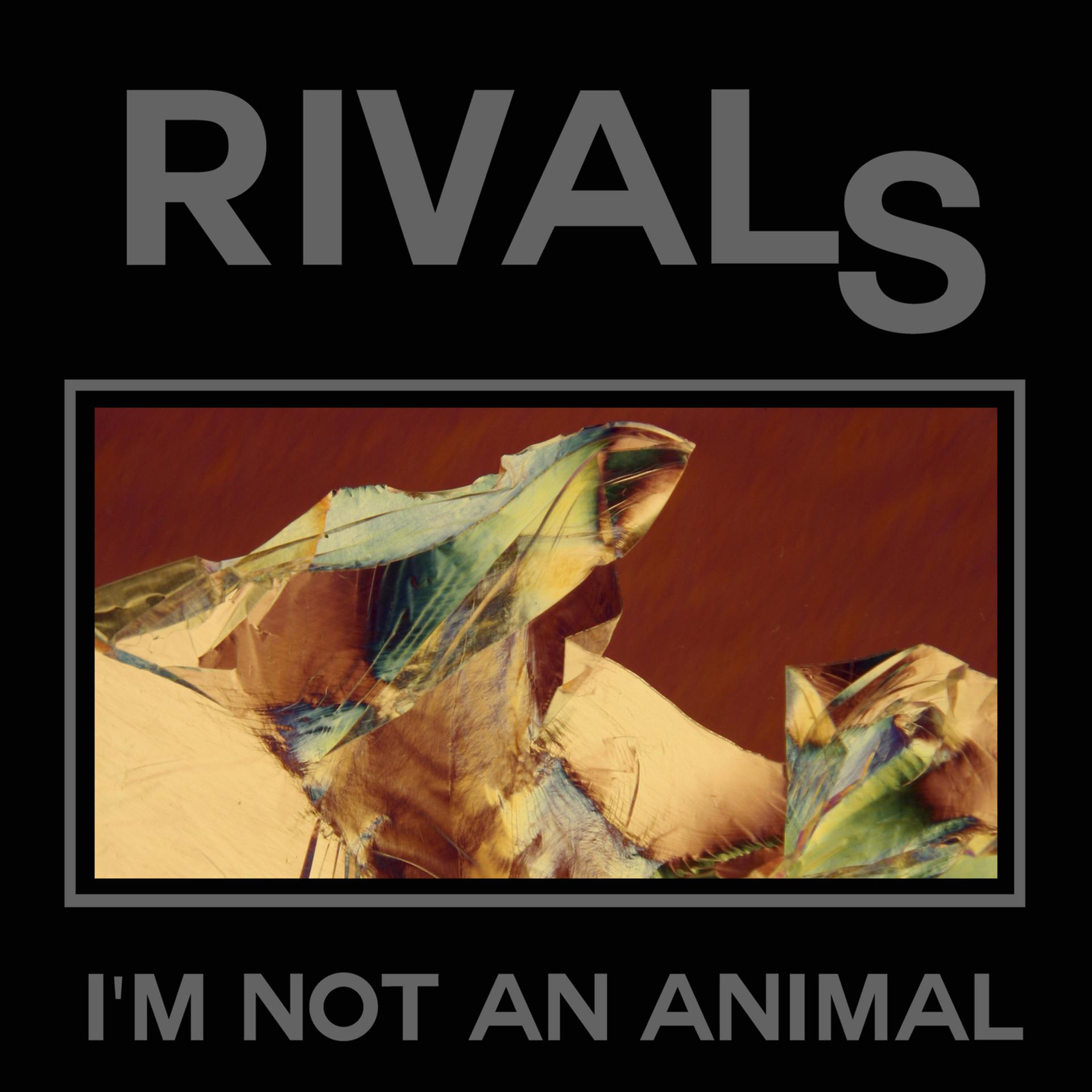 Постер альбома I'm Not an Animal