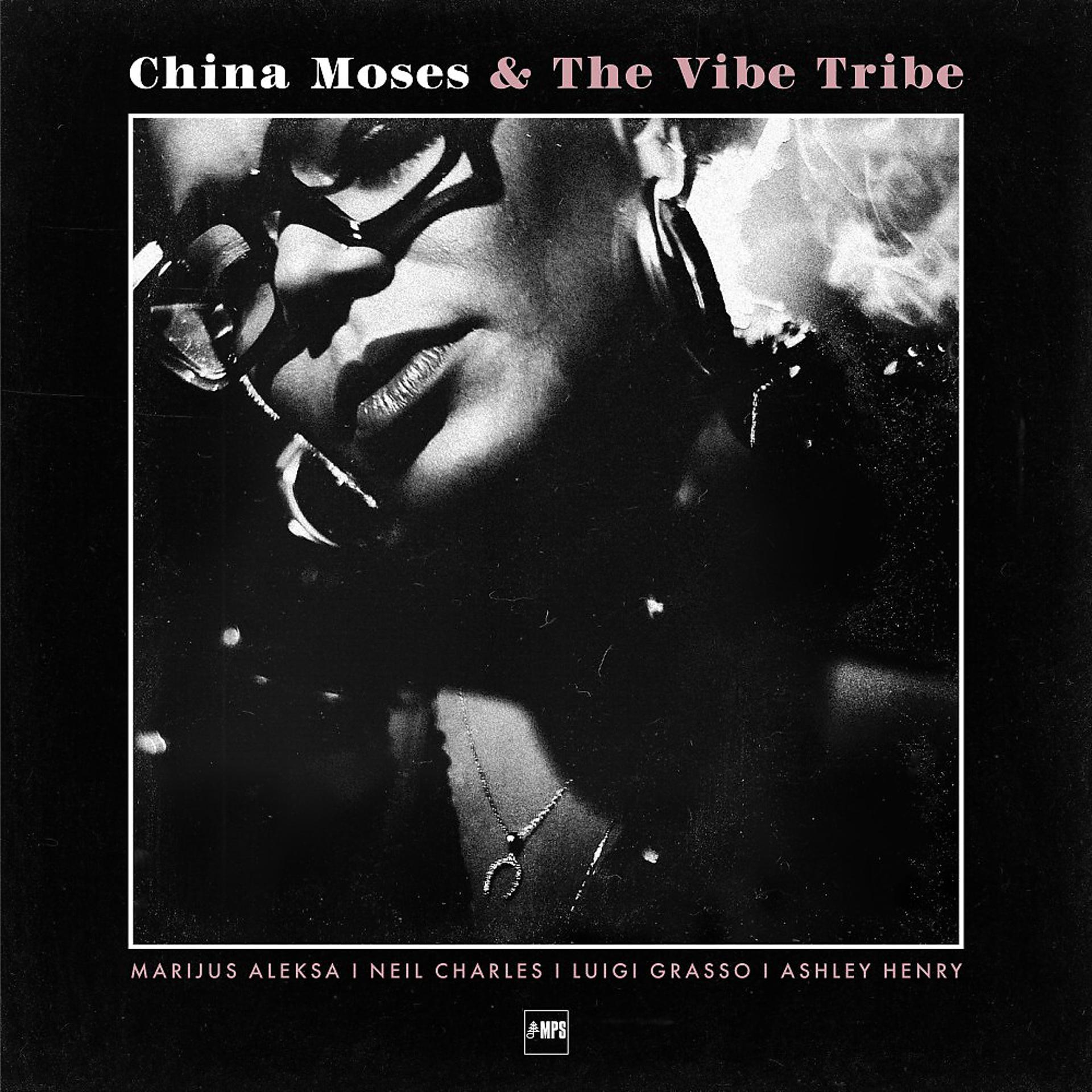 Постер альбома Put It on the Line (Vibe Tribe Version)