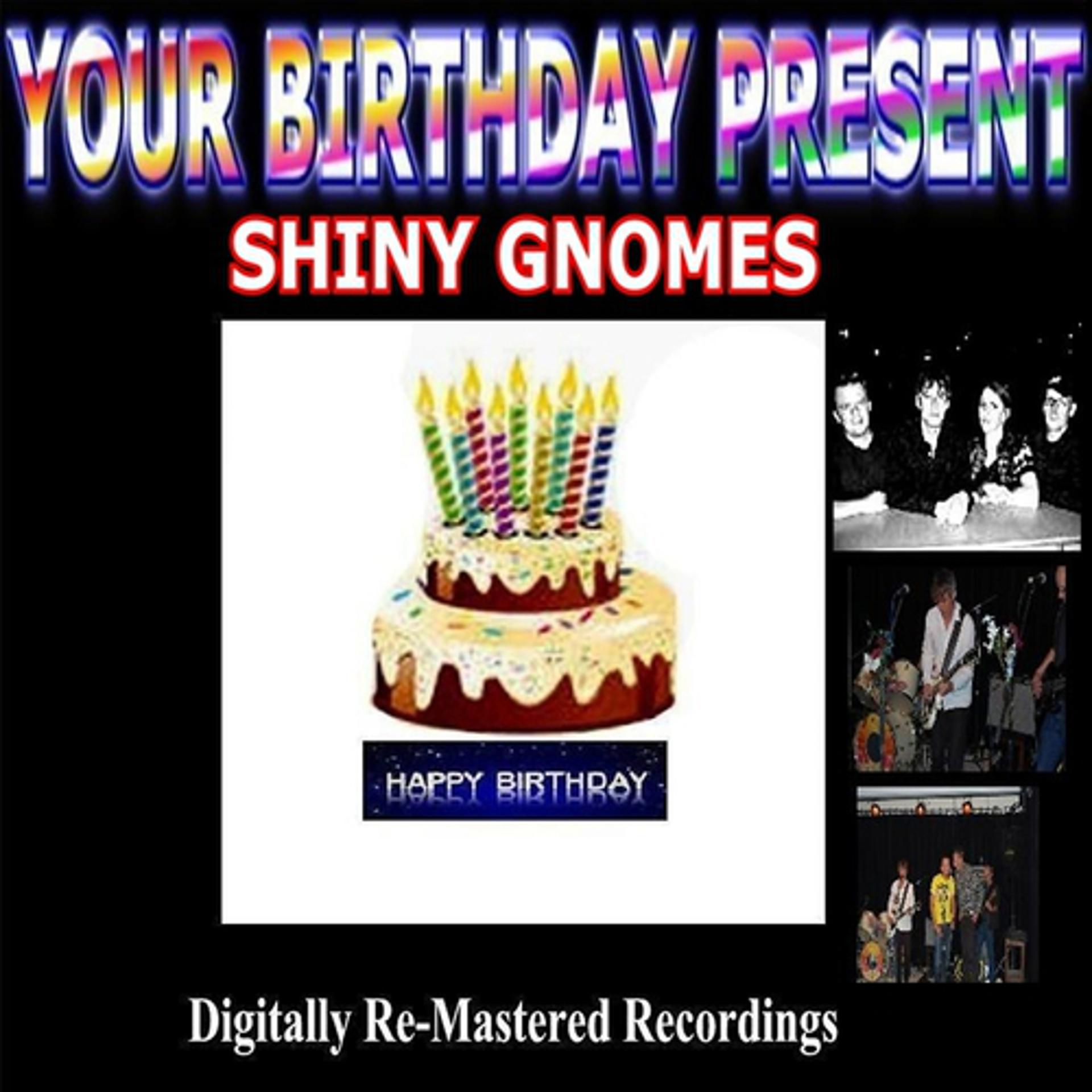 Постер альбома Your Birthday Present - Shiny Gnomes
