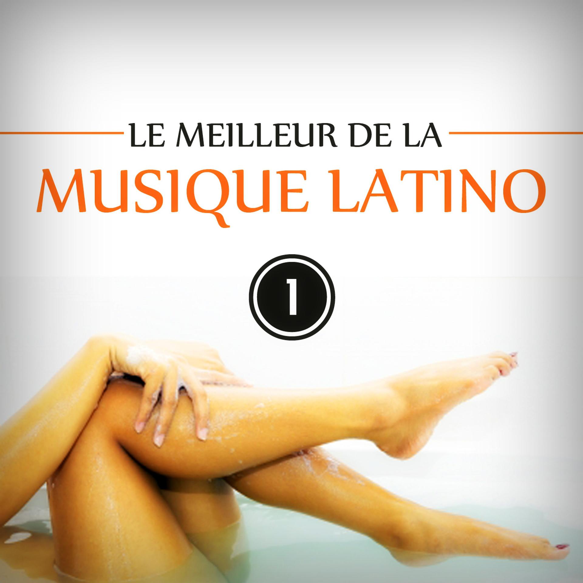 Постер альбома Le meilleur de la musique latino, Vol. 1