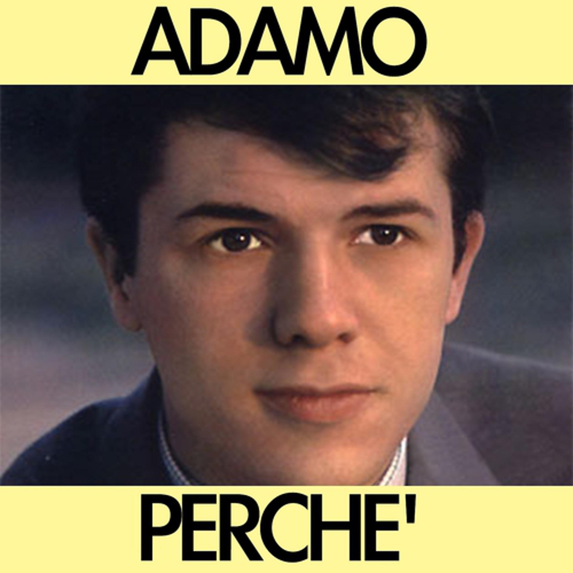 Постер альбома Perché