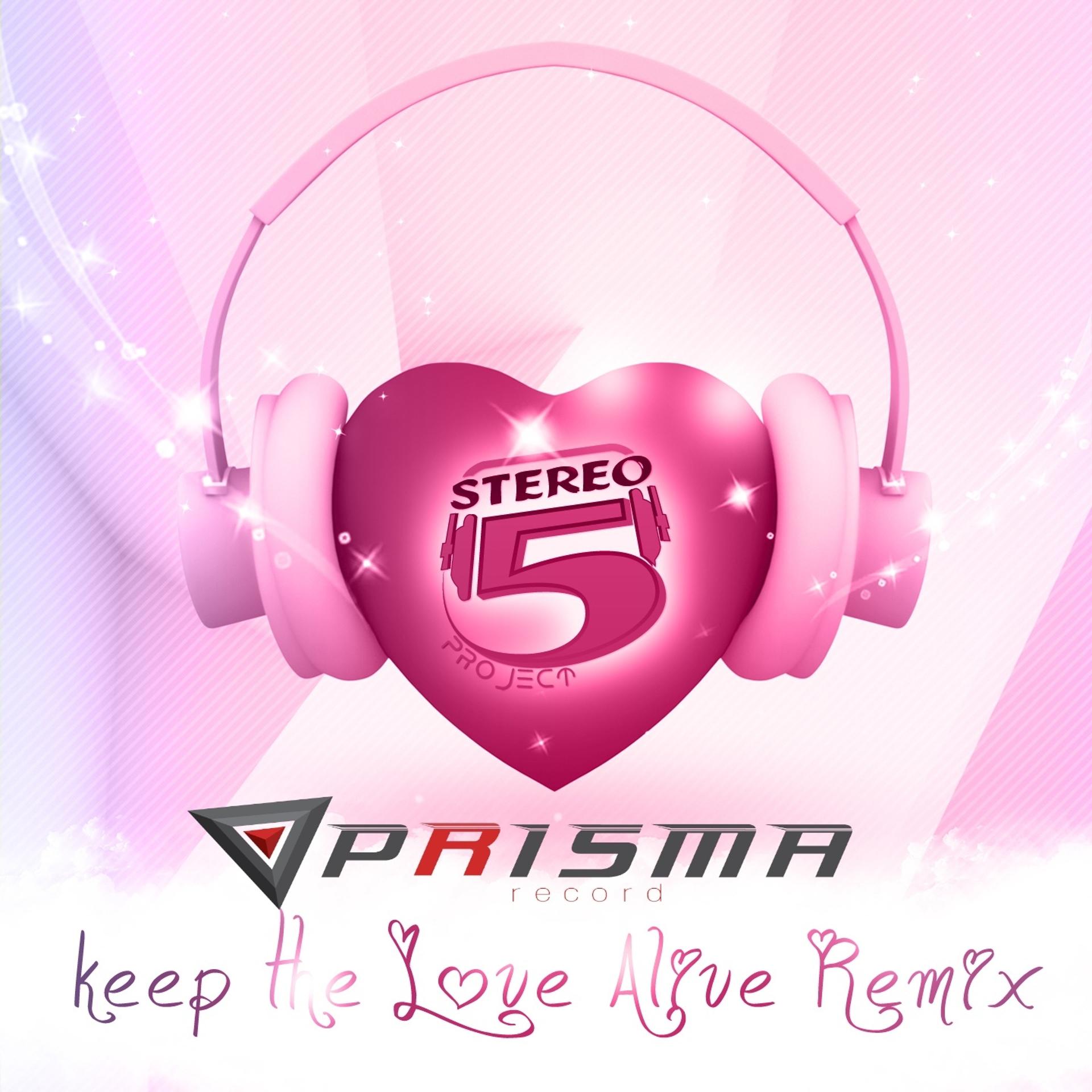 Постер альбома Keep the Love Alive
