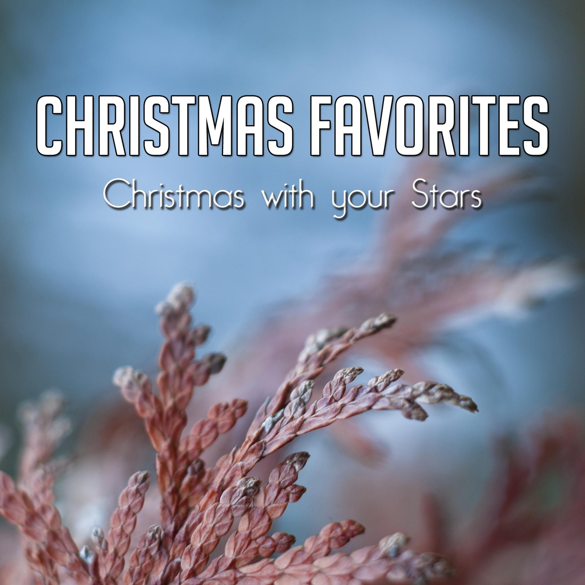 Постер альбома Christmas Favorites (Christmas With Your Stars)