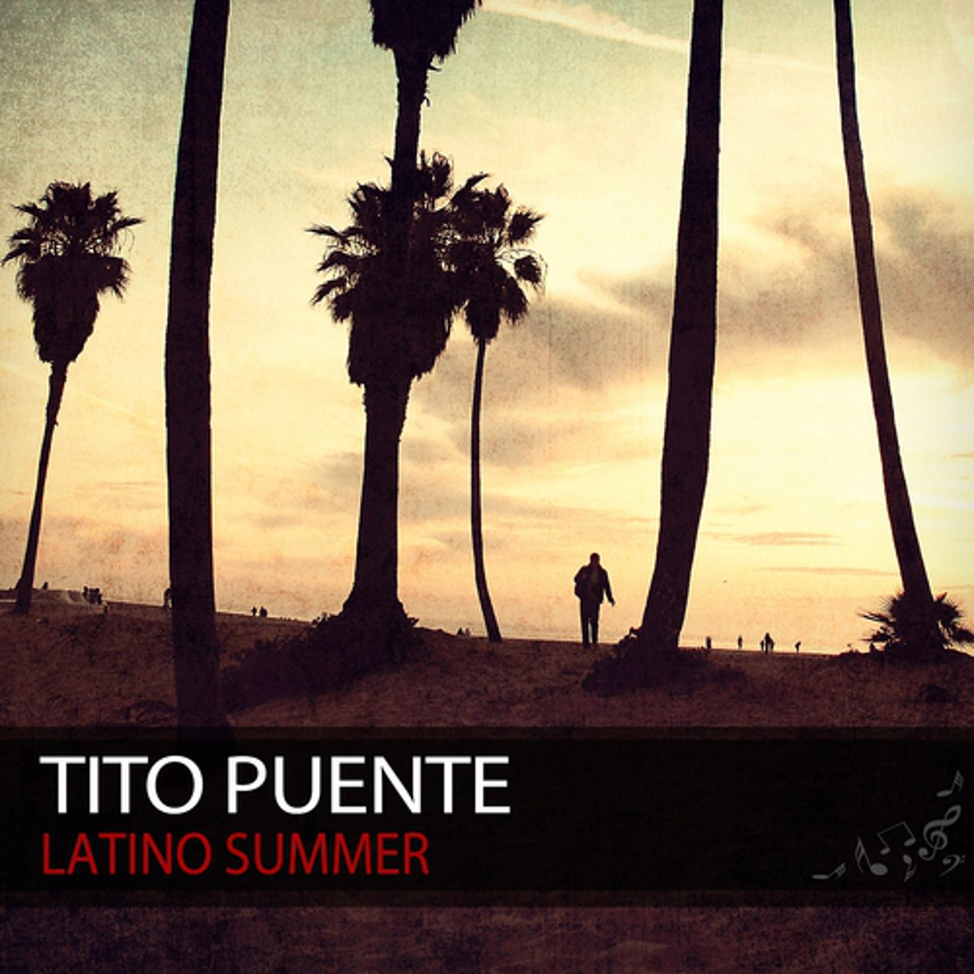 Постер альбома Latino Summer