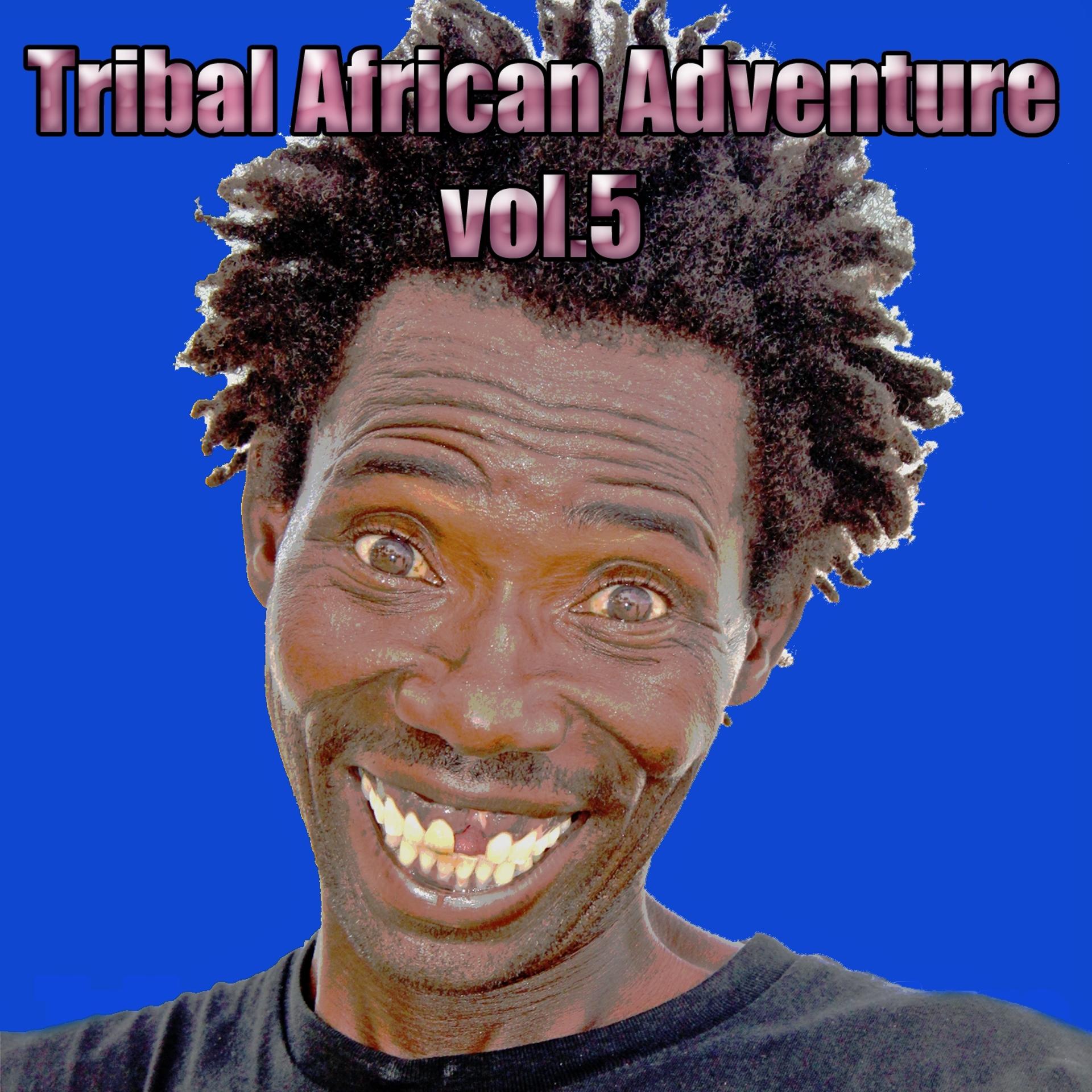Постер альбома Tribal African Adventure, Vol. 5