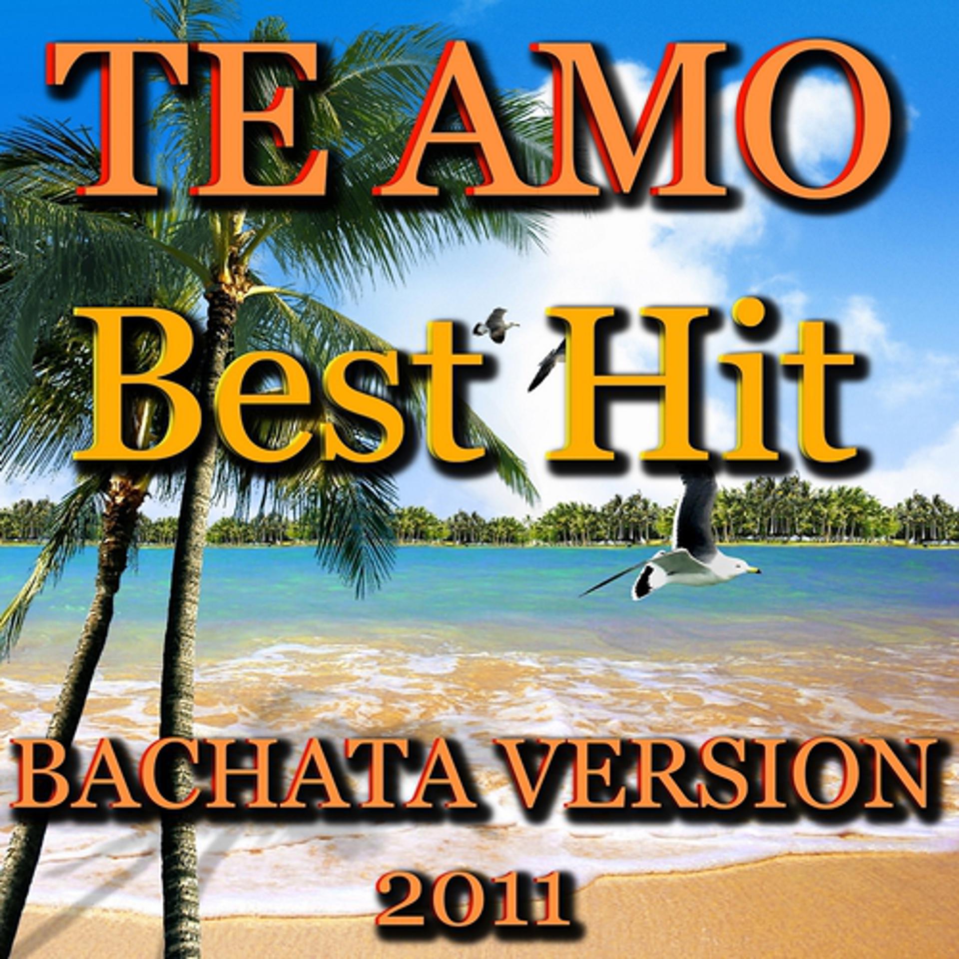 Постер альбома Te Amo (Best Hit Bachata Version 2011)