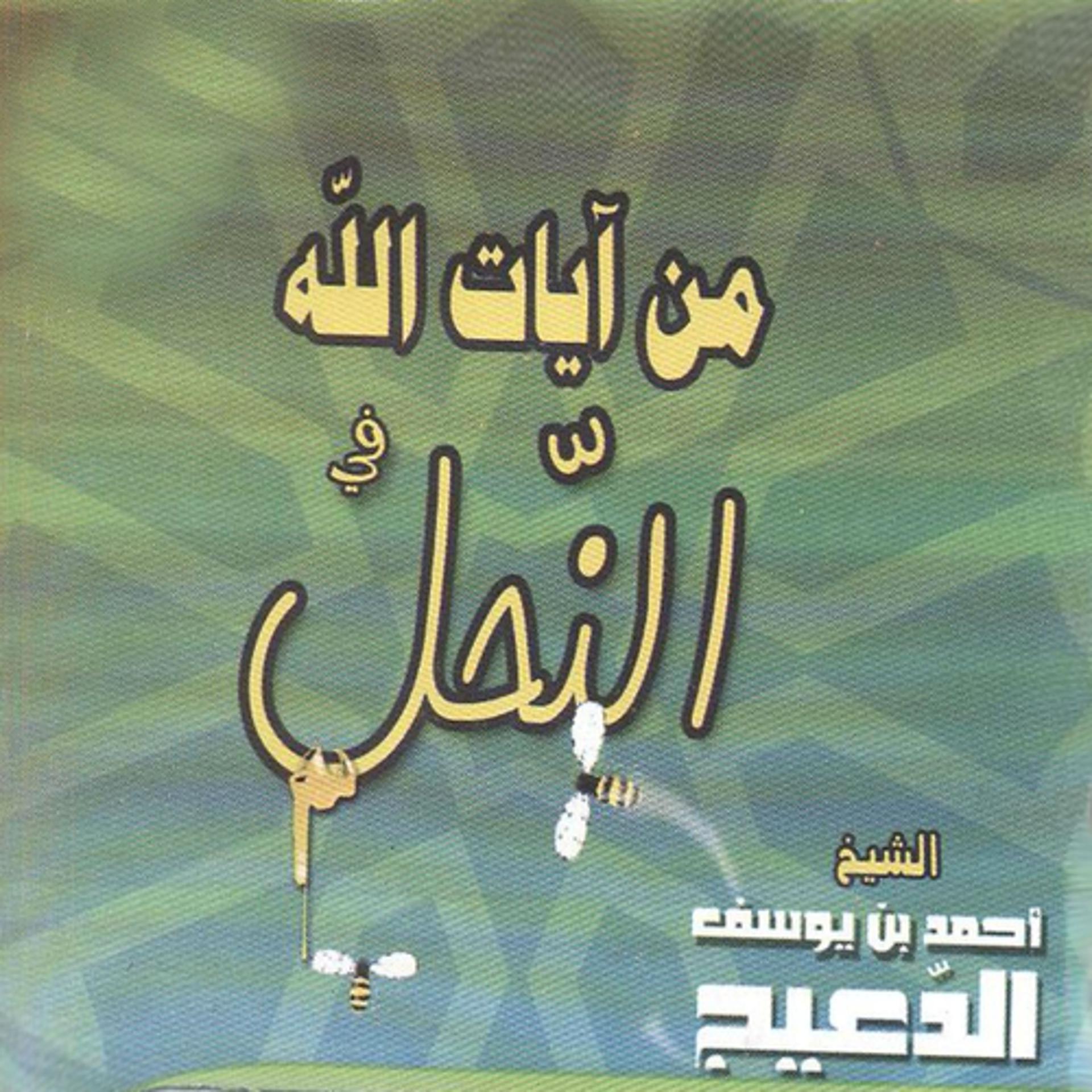 Постер альбома Min ayate Allah fi annahl