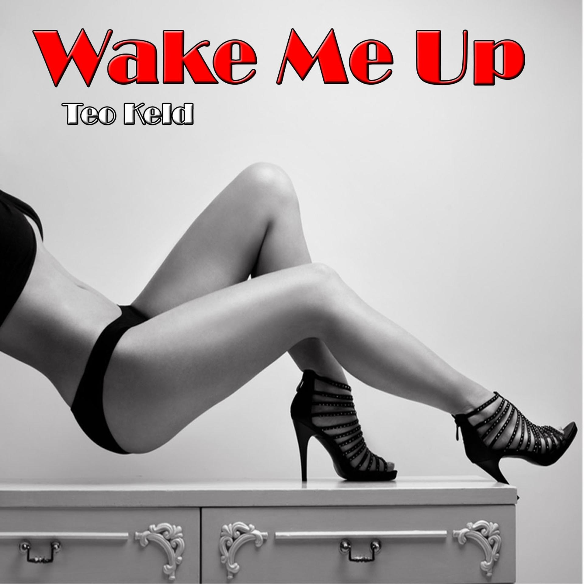 Постер альбома Tribute To Avicii: Wake Me Up