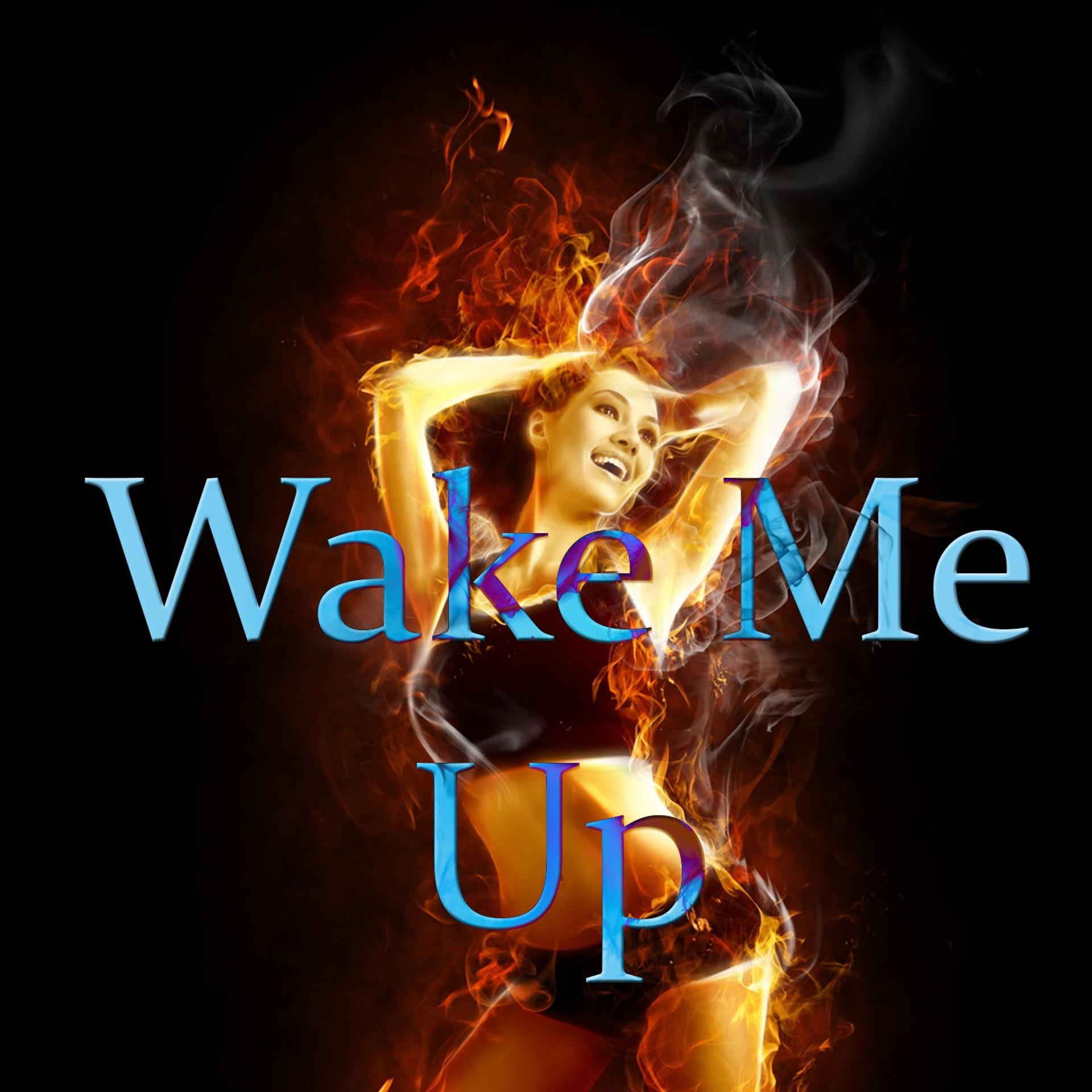 Постер альбома Wake Me Up: Tribute to Avicii