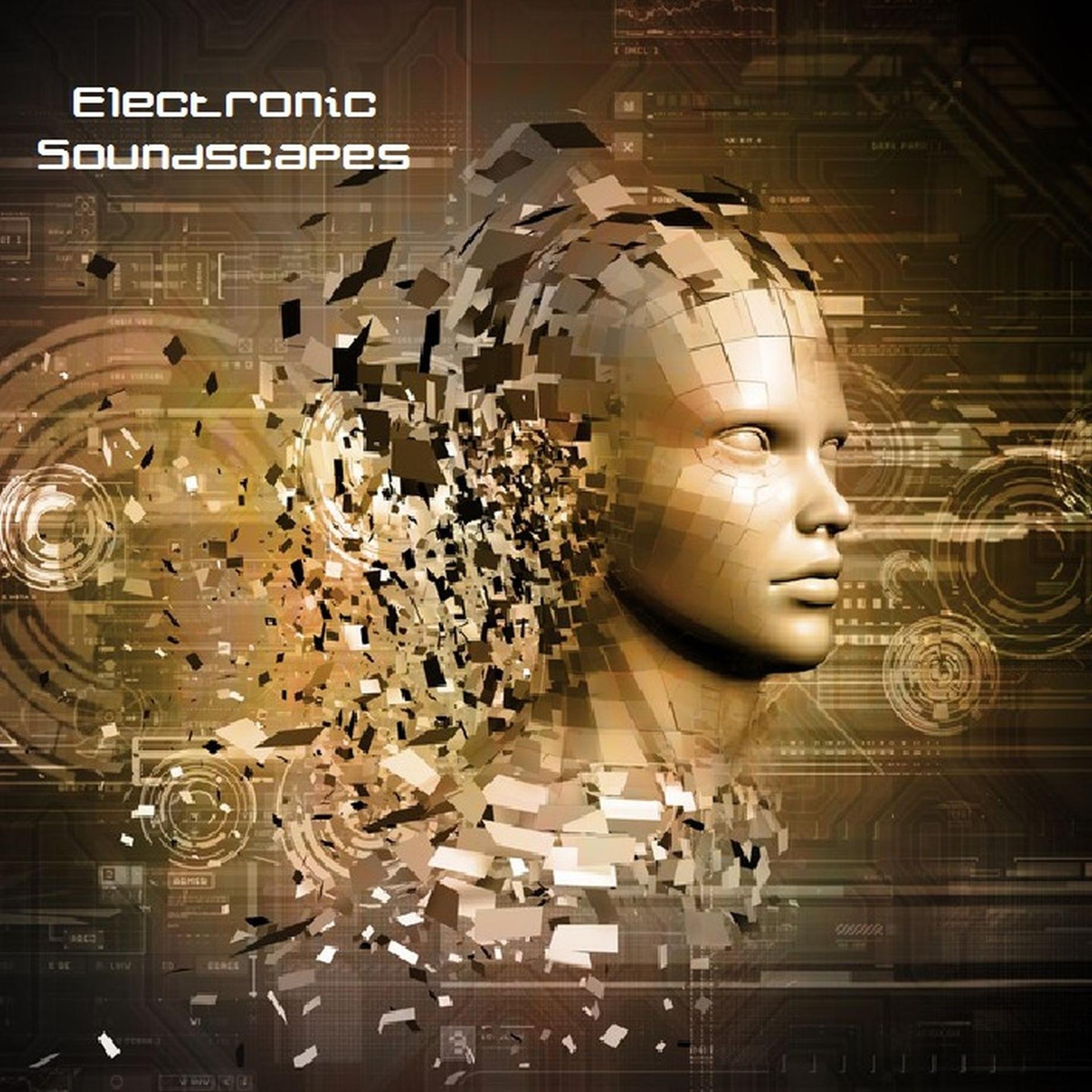 Постер альбома Electronic Soundscapes