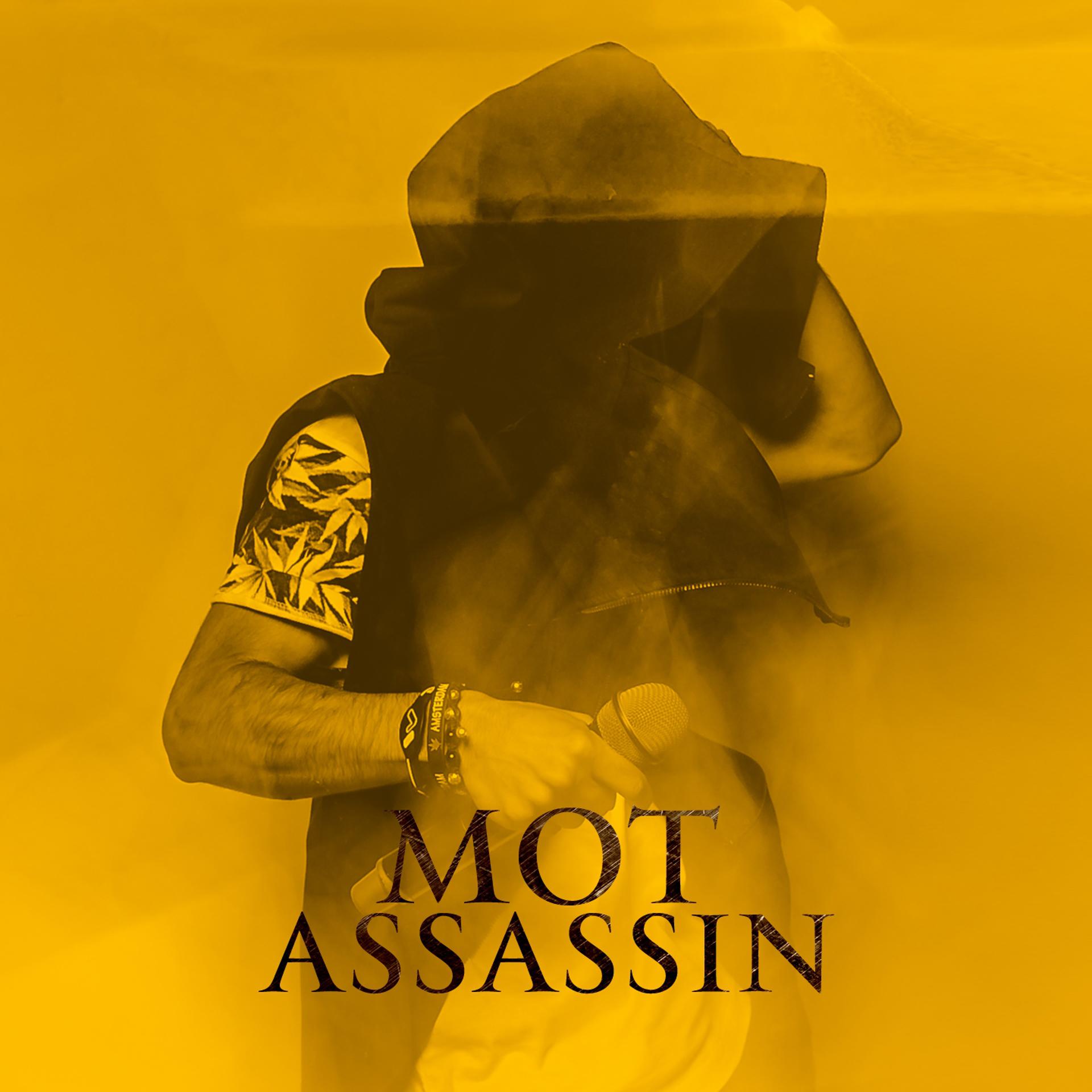 Постер альбома Assassin