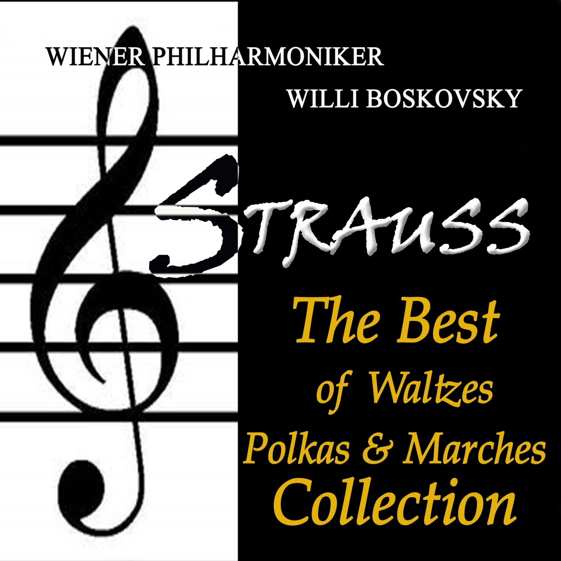 Постер альбома Strauss: The Best of Waltzes, Polkas & Marches Collection