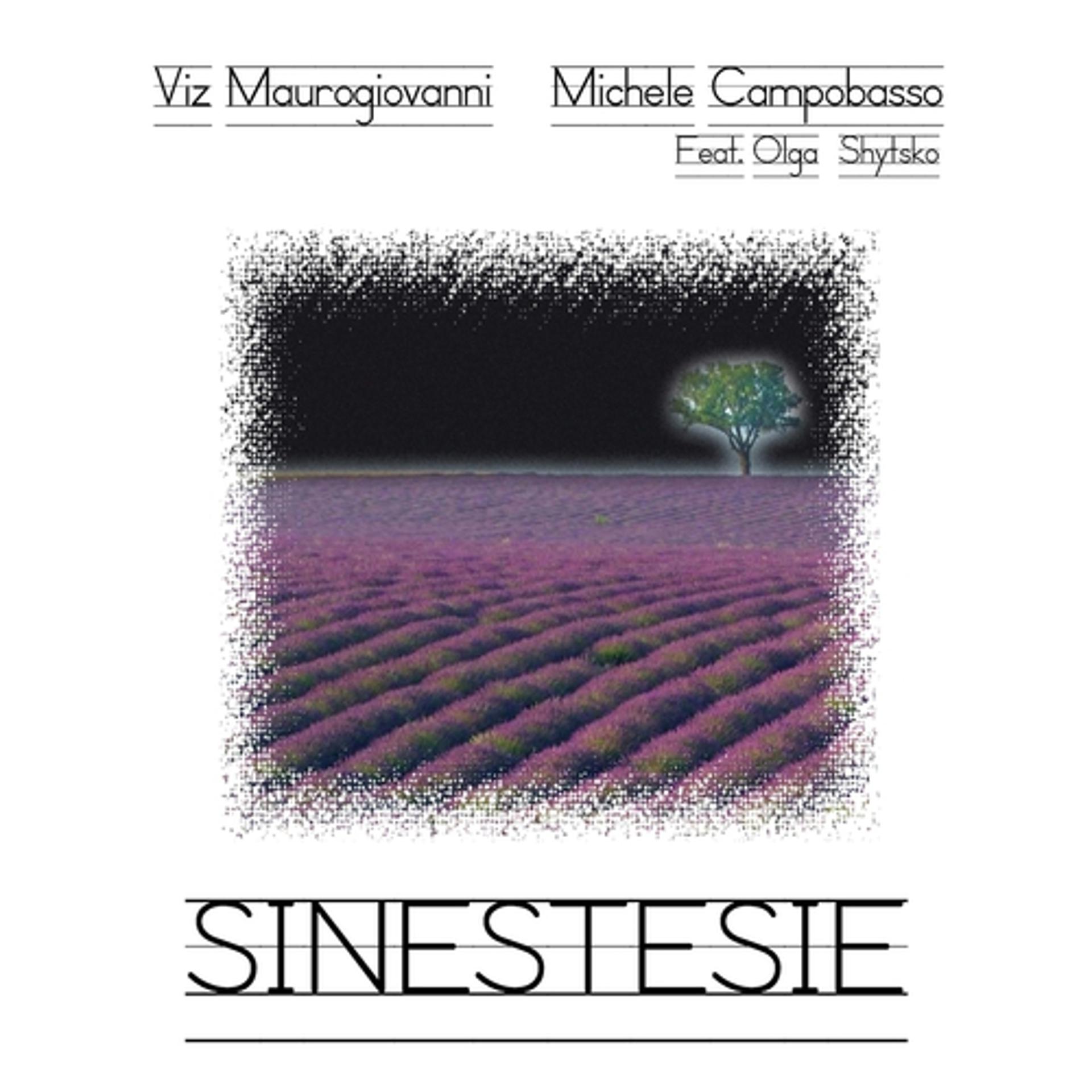 Постер альбома Sinestesie