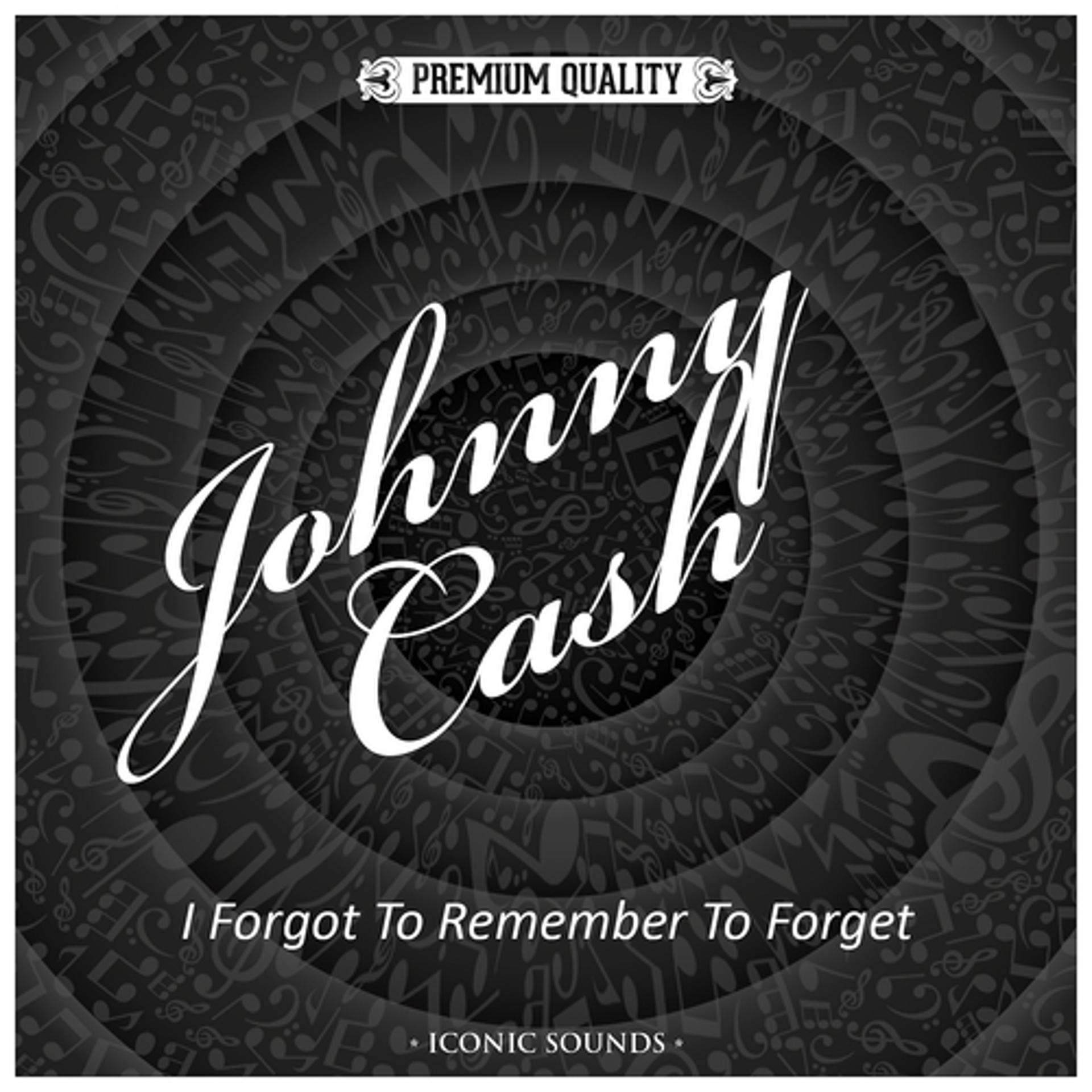 Постер альбома I Forgot to Remember to Forget