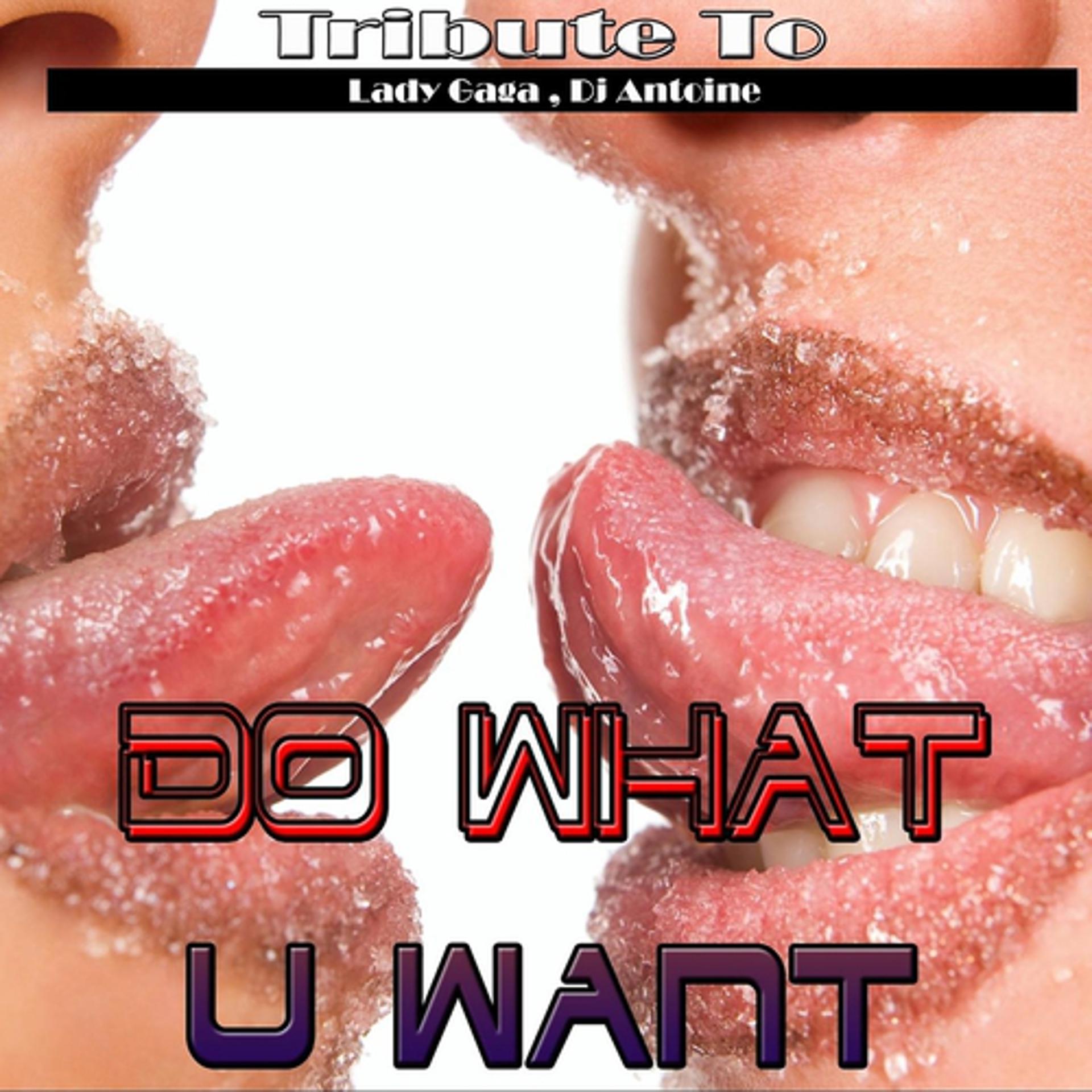 Постер альбома Do What U Want: Tribute to Lady Gaga, DJ Antoine