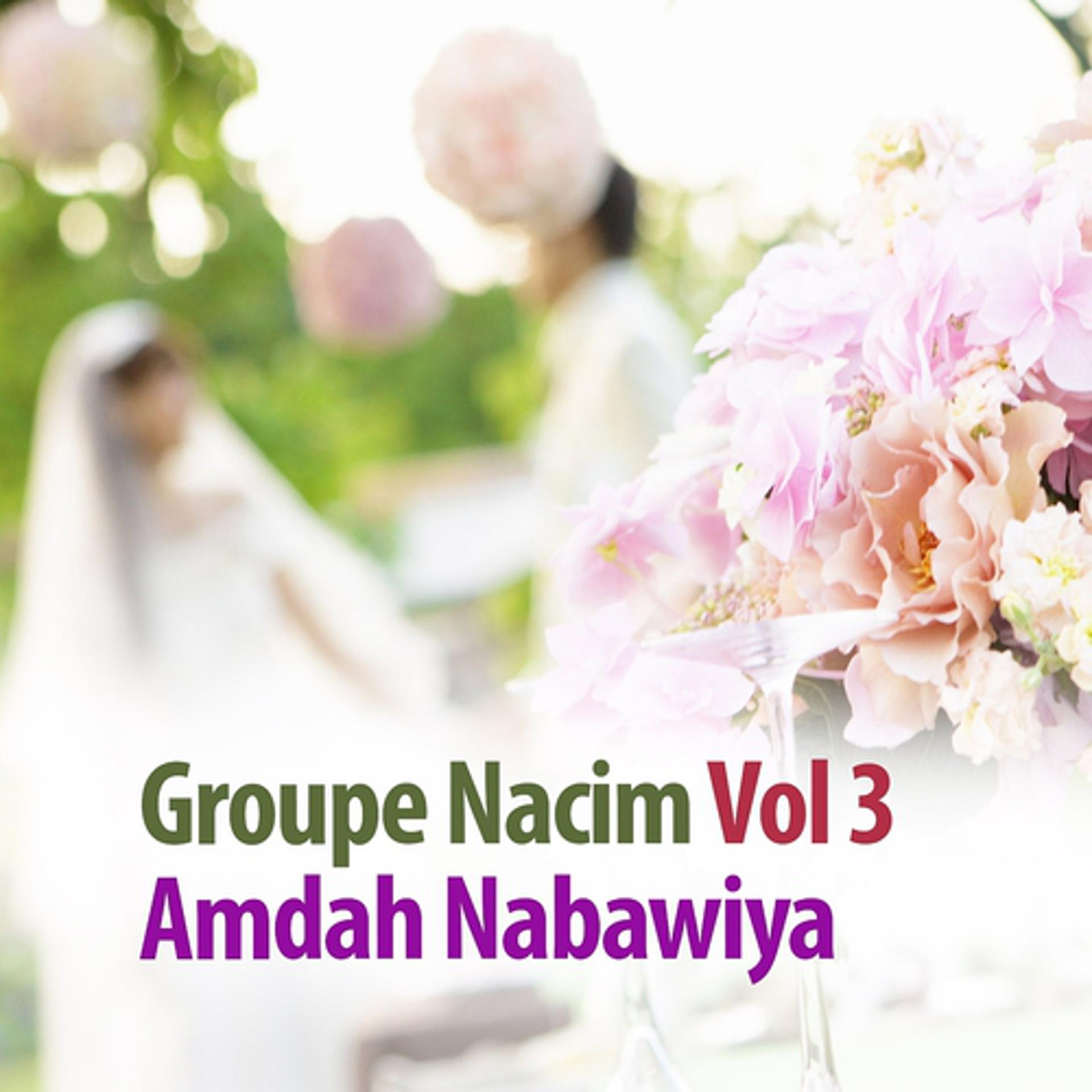 Постер альбома Amdah Nabawiya, vol. 3