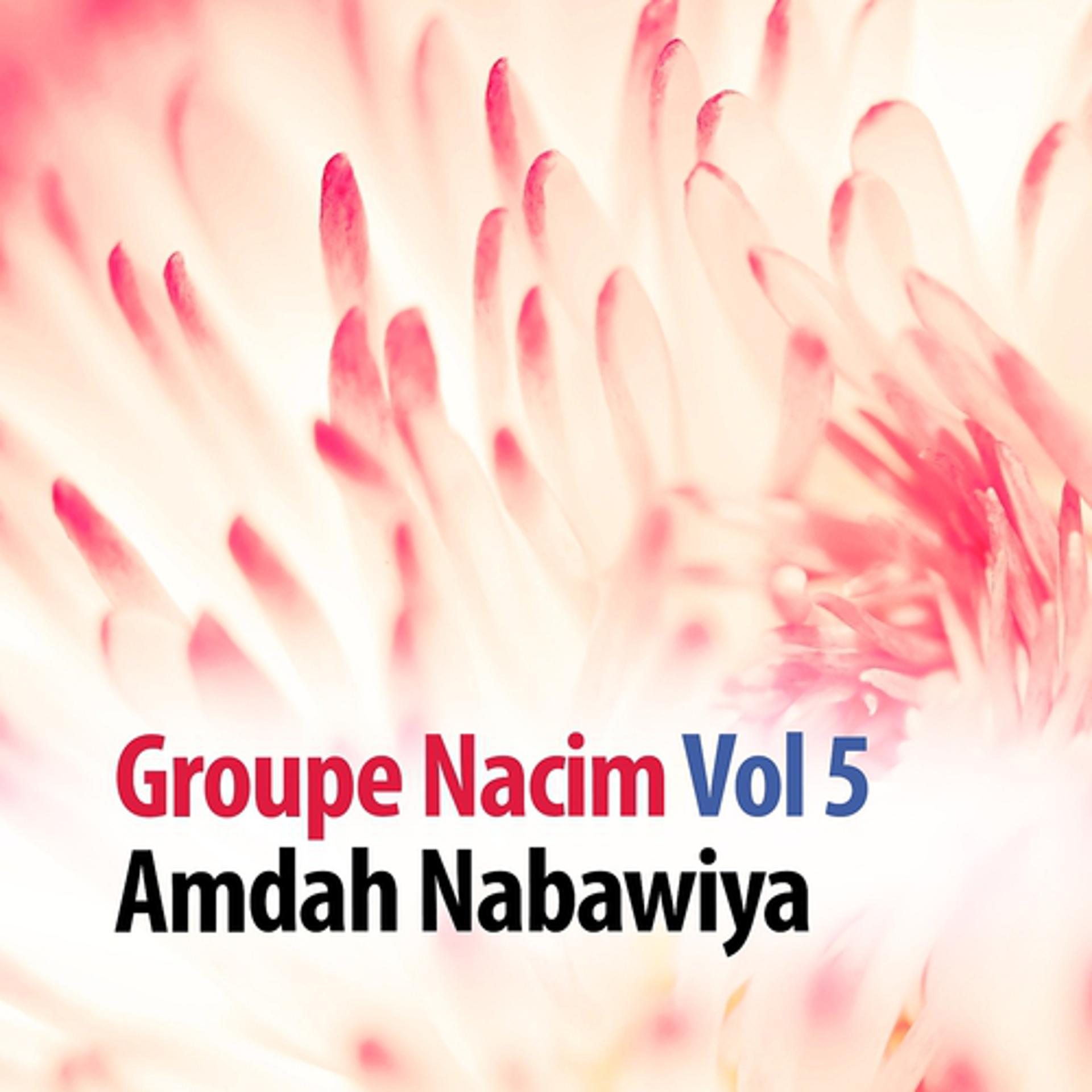 Постер альбома Amdah Nabawiya, vol. 5