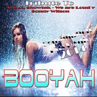 Постер альбома Booyah: Tribute to Avicii, Showtek - We Are Loud Y Sonny Wilson