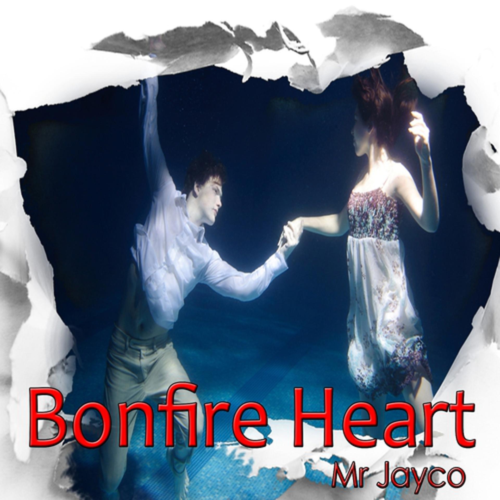 Постер альбома Bonfire Heart: Tribute to James Blunt