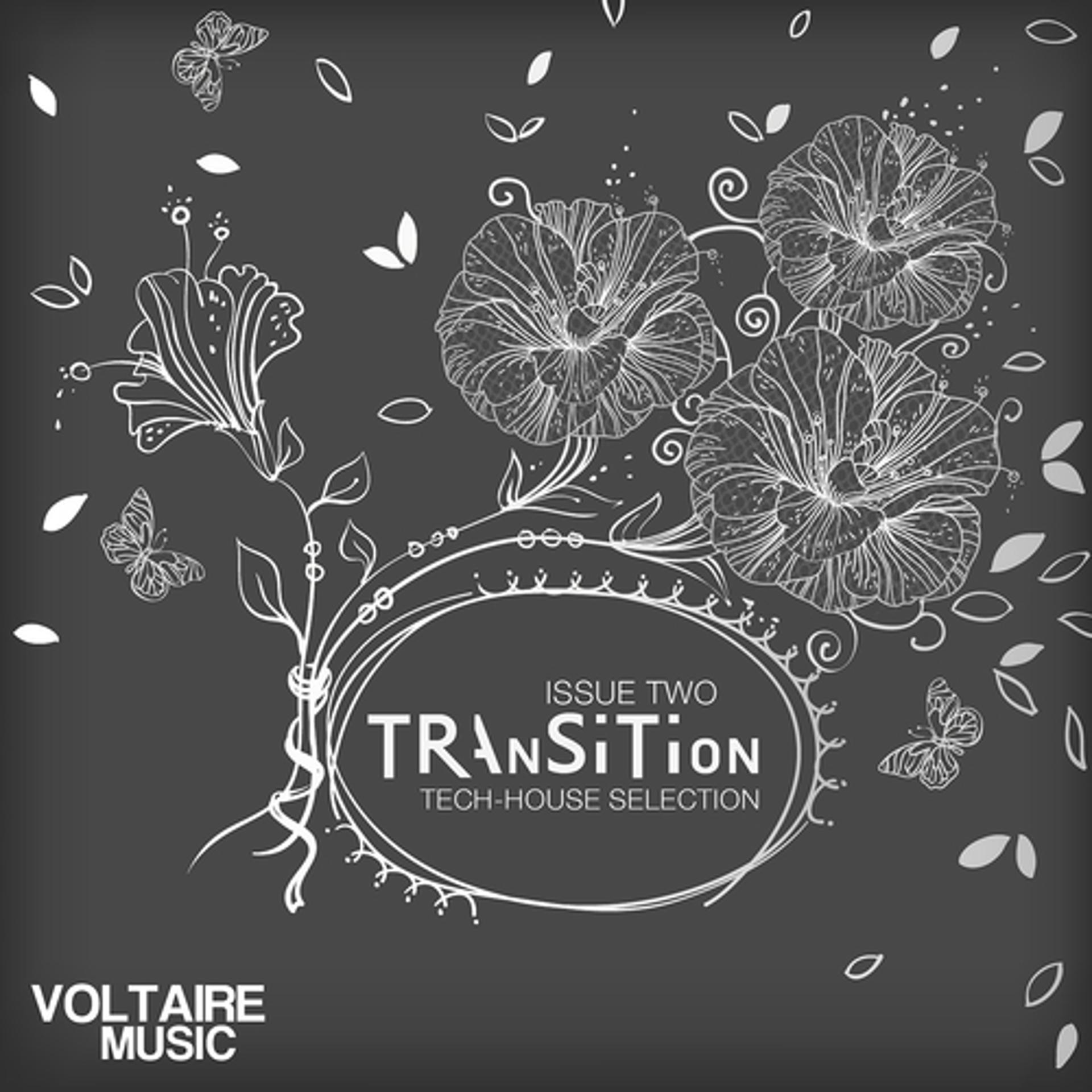 Постер альбома Transition Issue 02