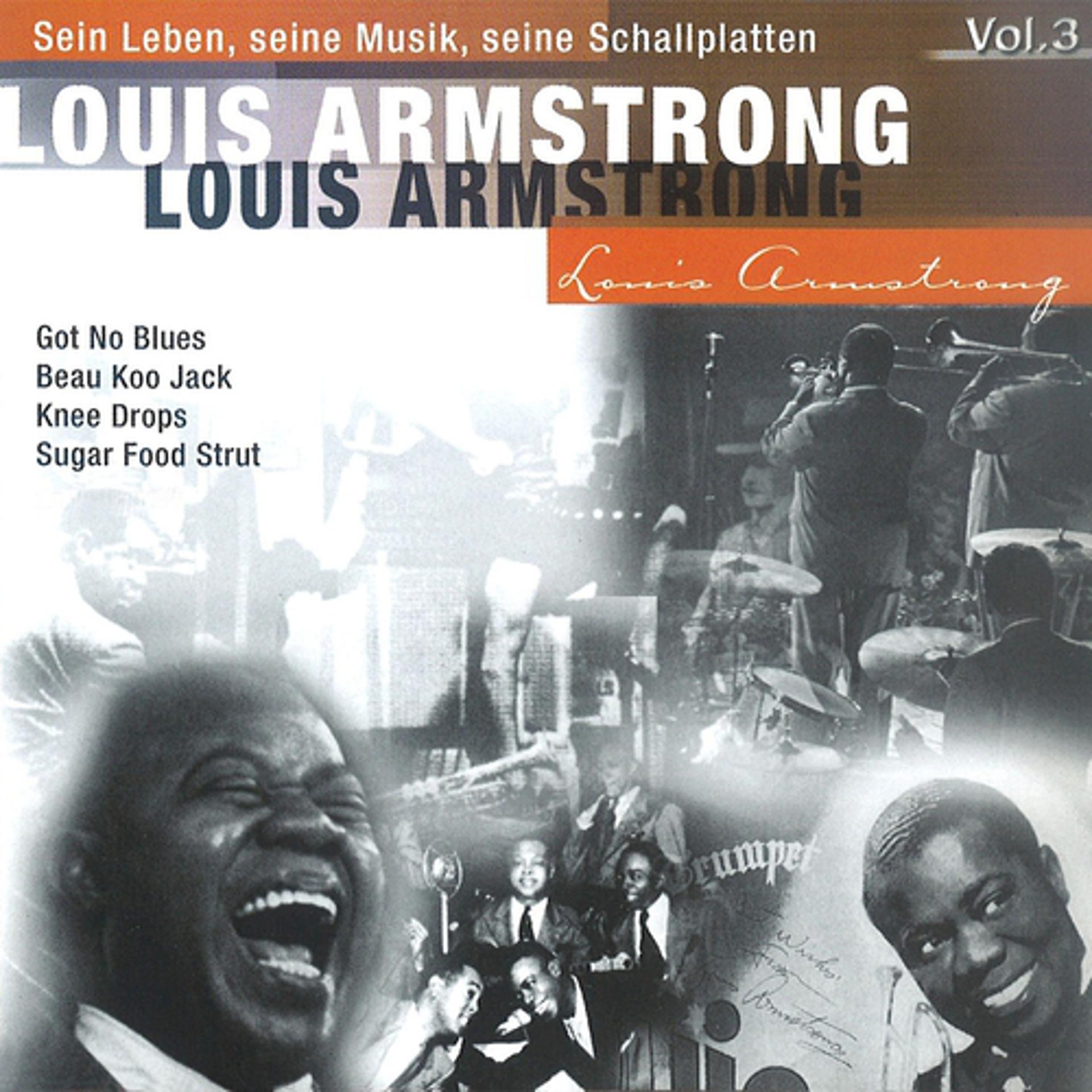 Постер альбома Louis Armstrong -Sein Leben, seine Musik, seine Schallplatten, Vol.3