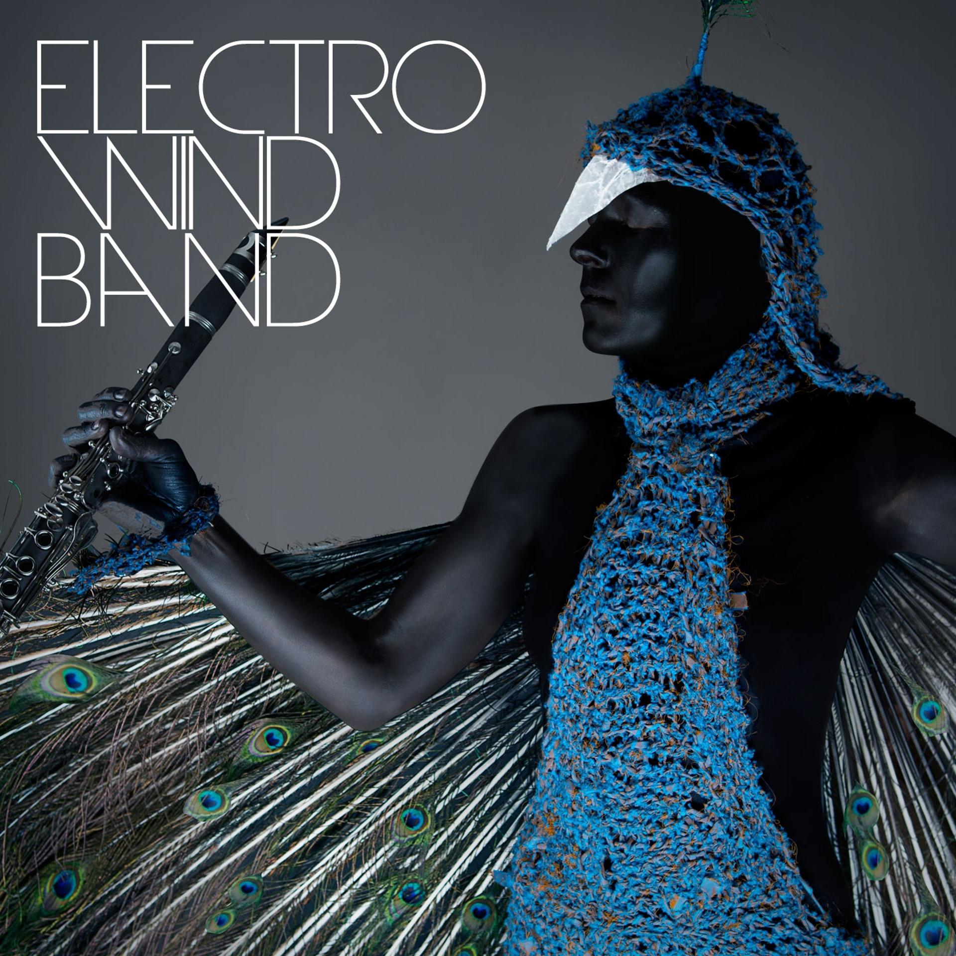 Постер альбома Electro Wind Band