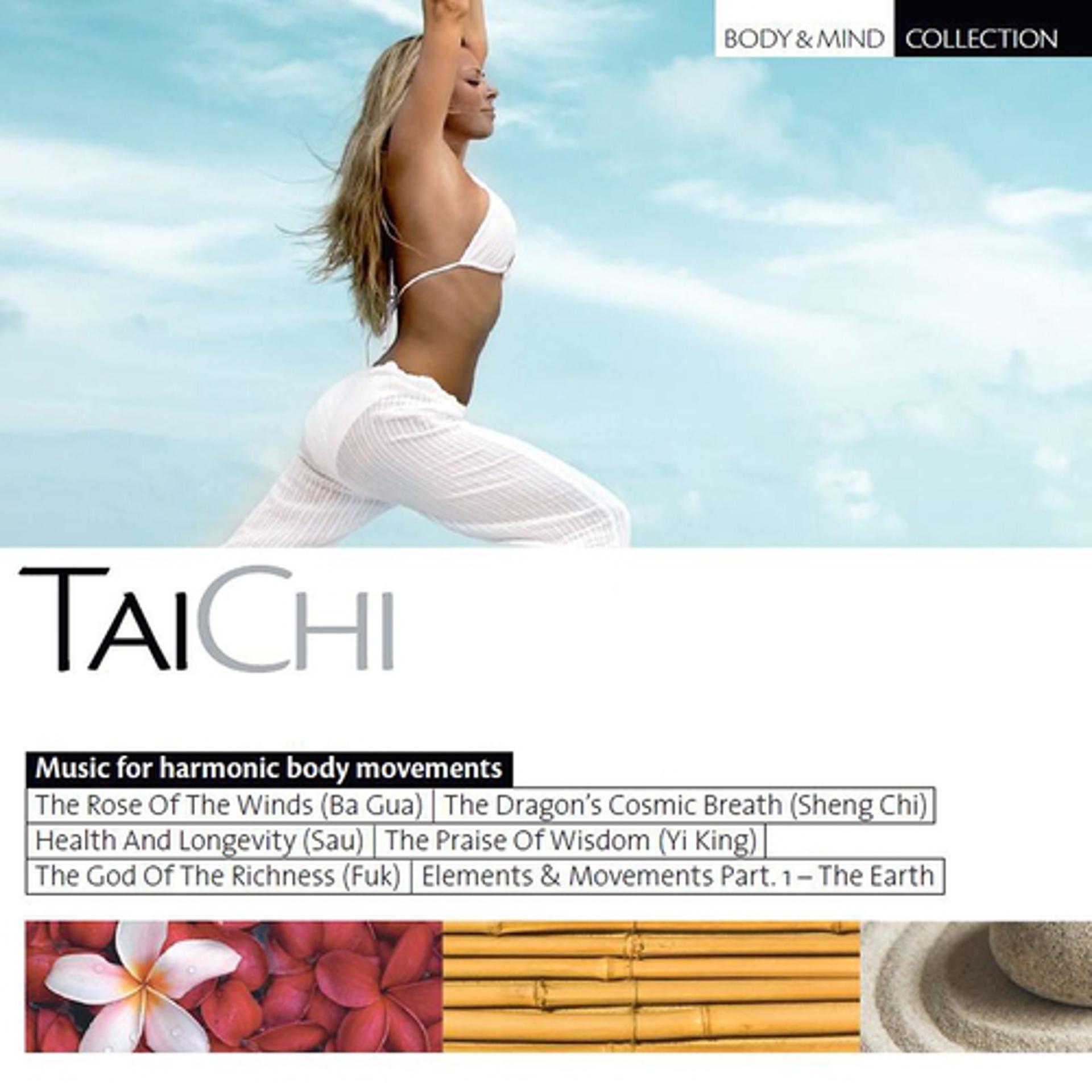 Постер альбома TaiChi