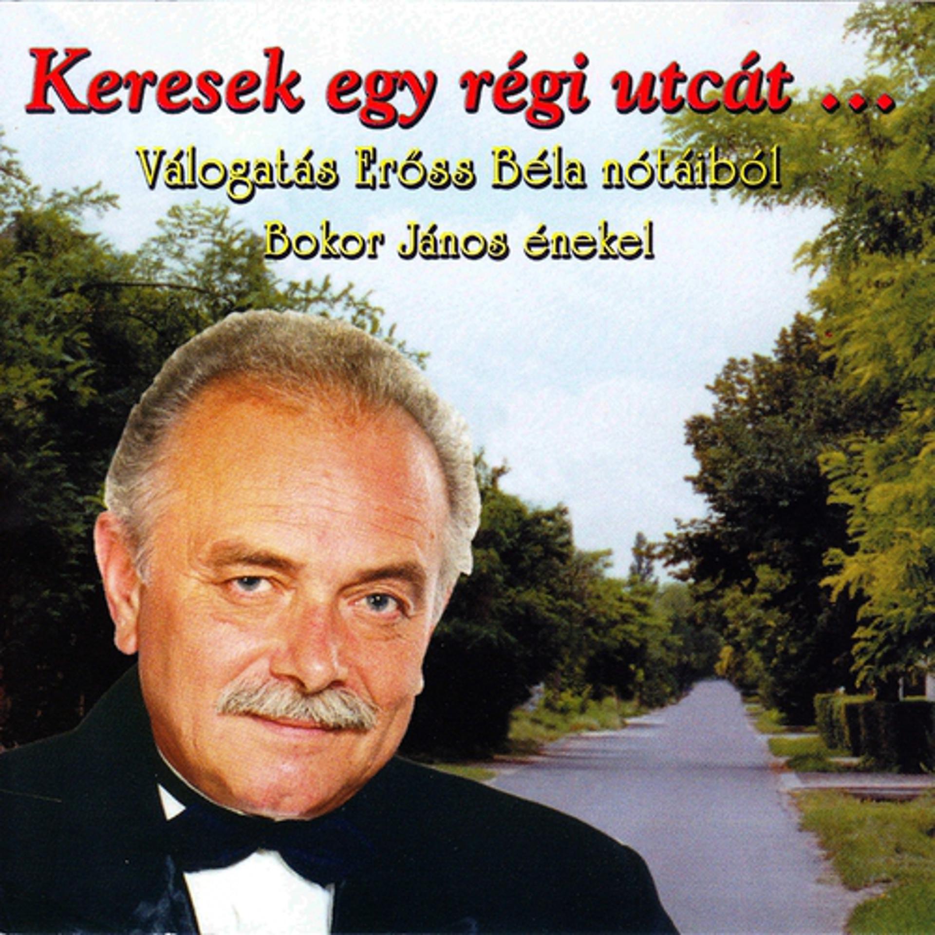 Постер альбома Keresek Egy Régi Utcát