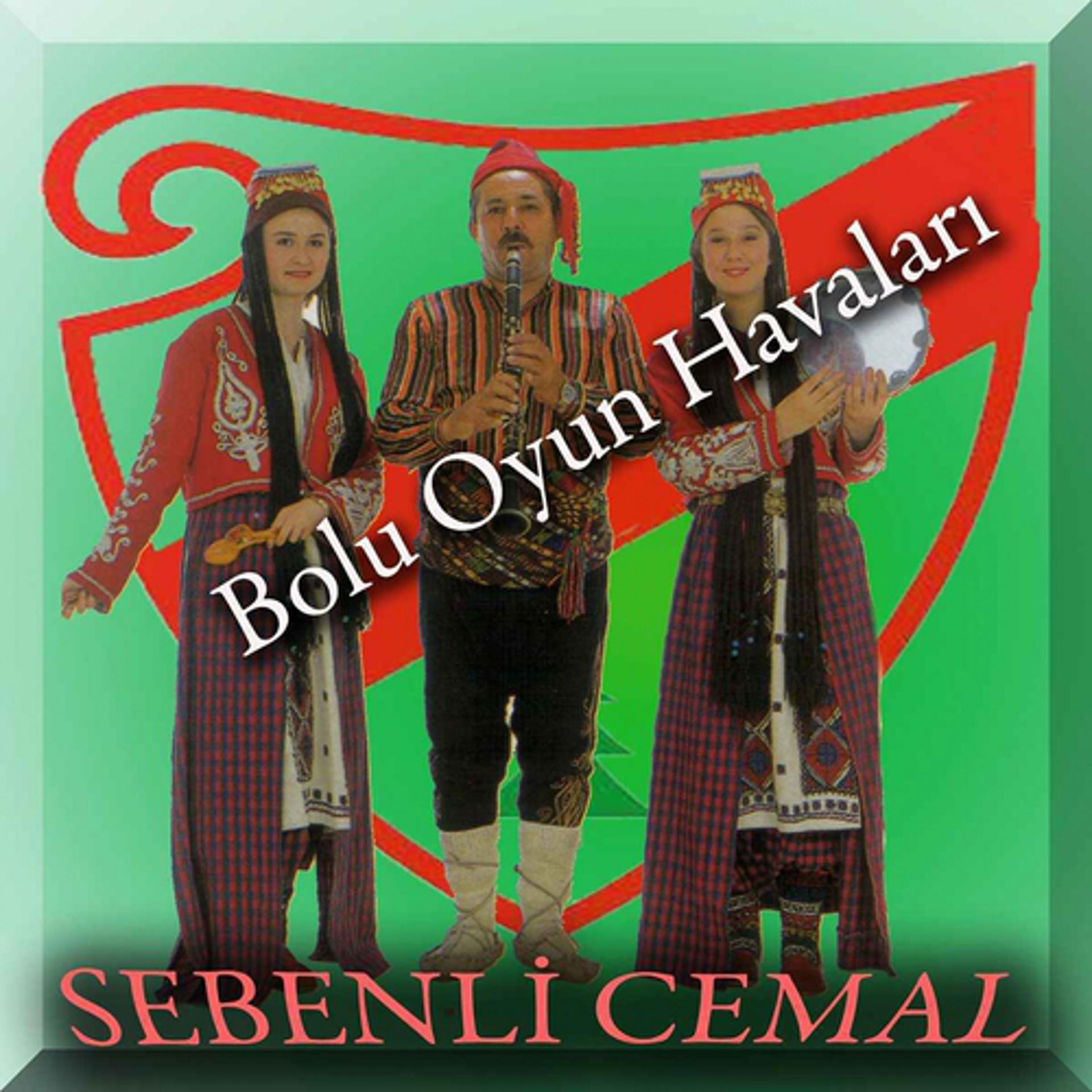 Постер альбома Bolu Oyun Havaları
