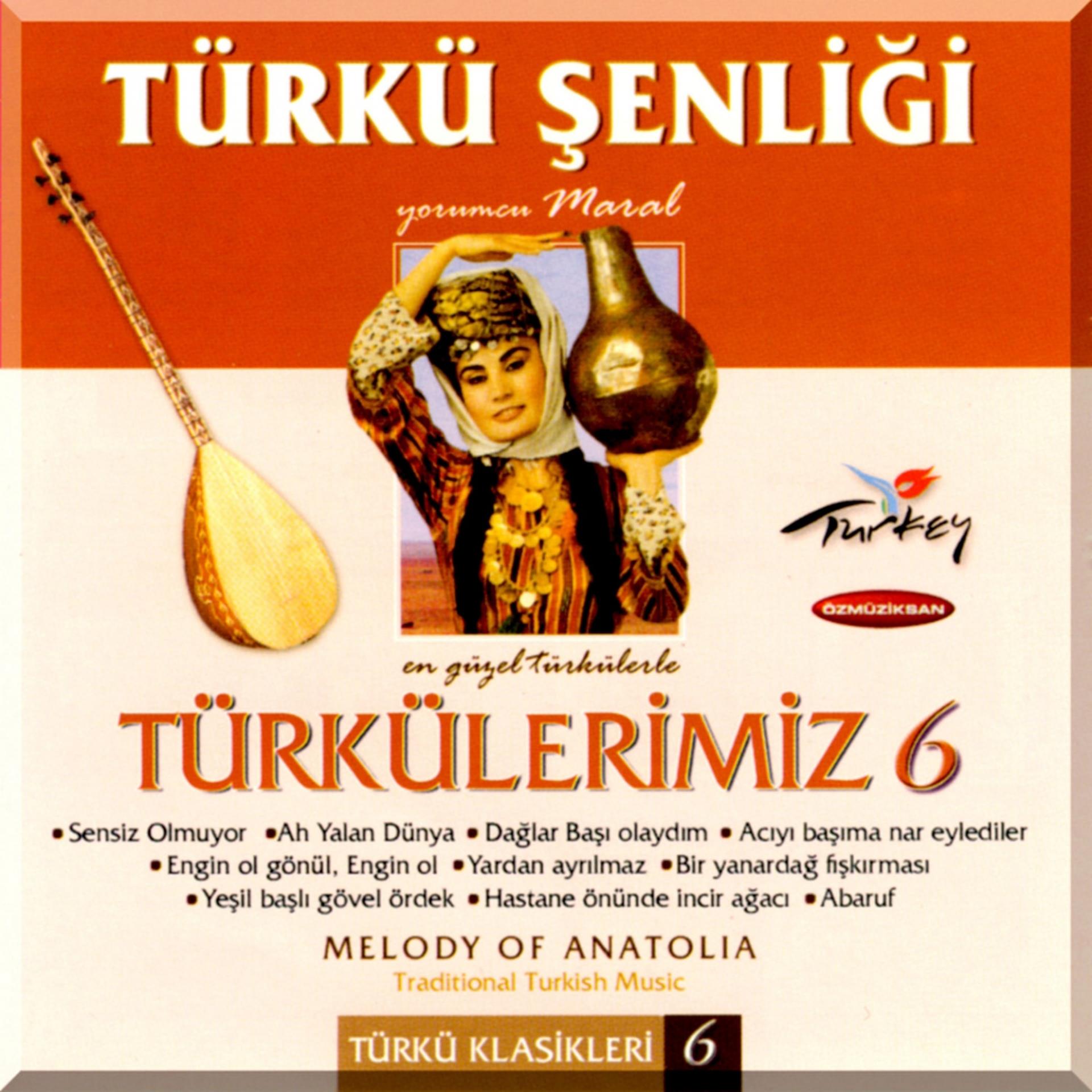 Постер альбома Türkü Şenliği - Türkülerimiz, Vol. 6