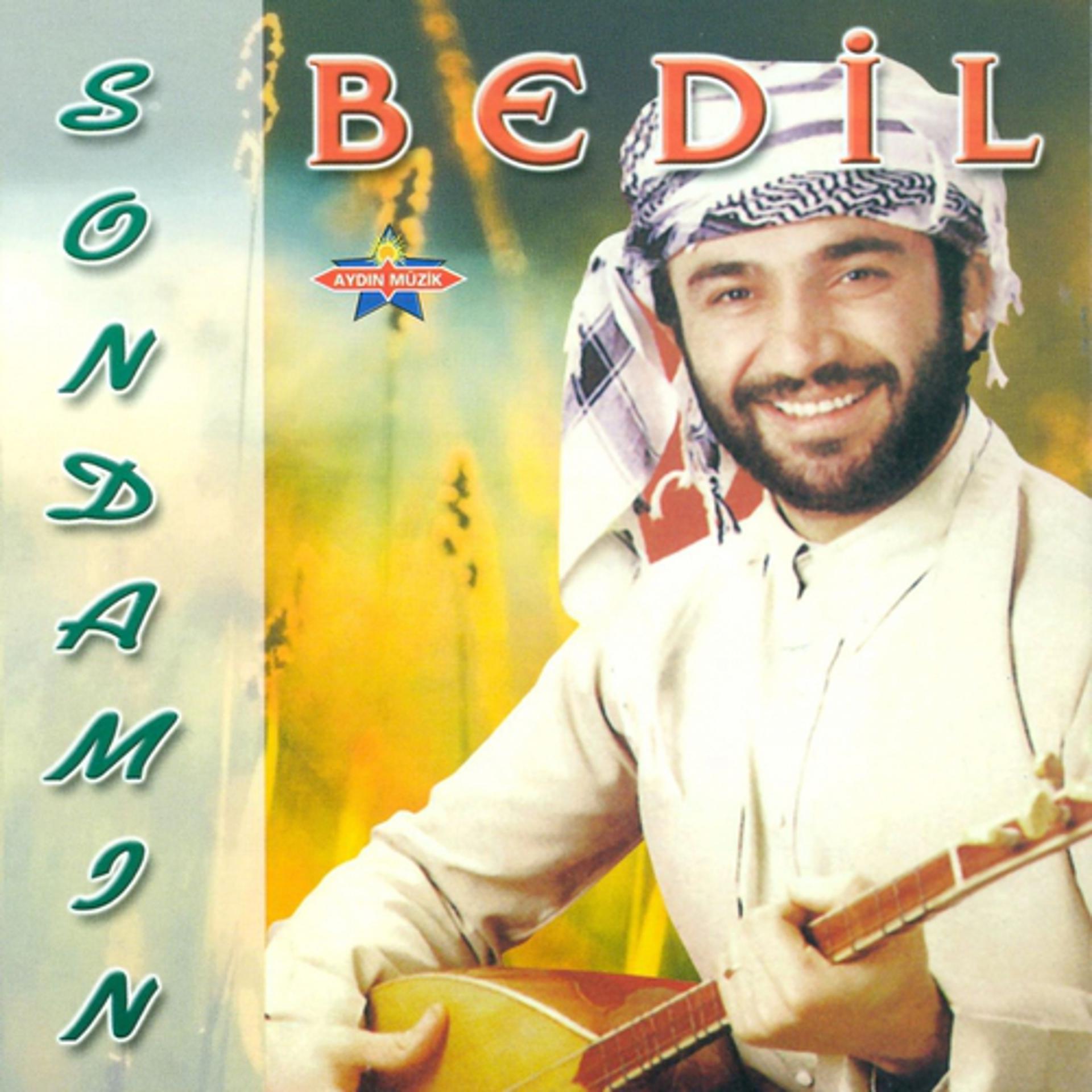 Постер альбома Sondamın