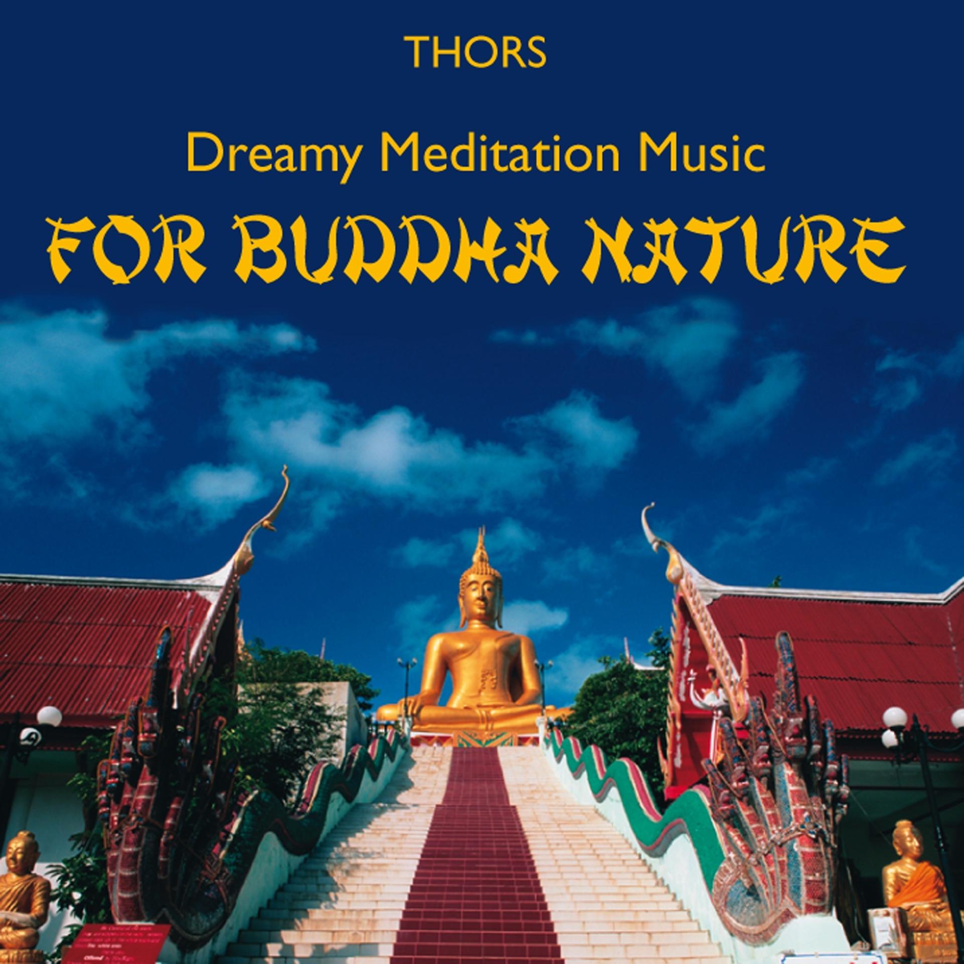 Постер альбома Buddha Nature: Music for Meditation