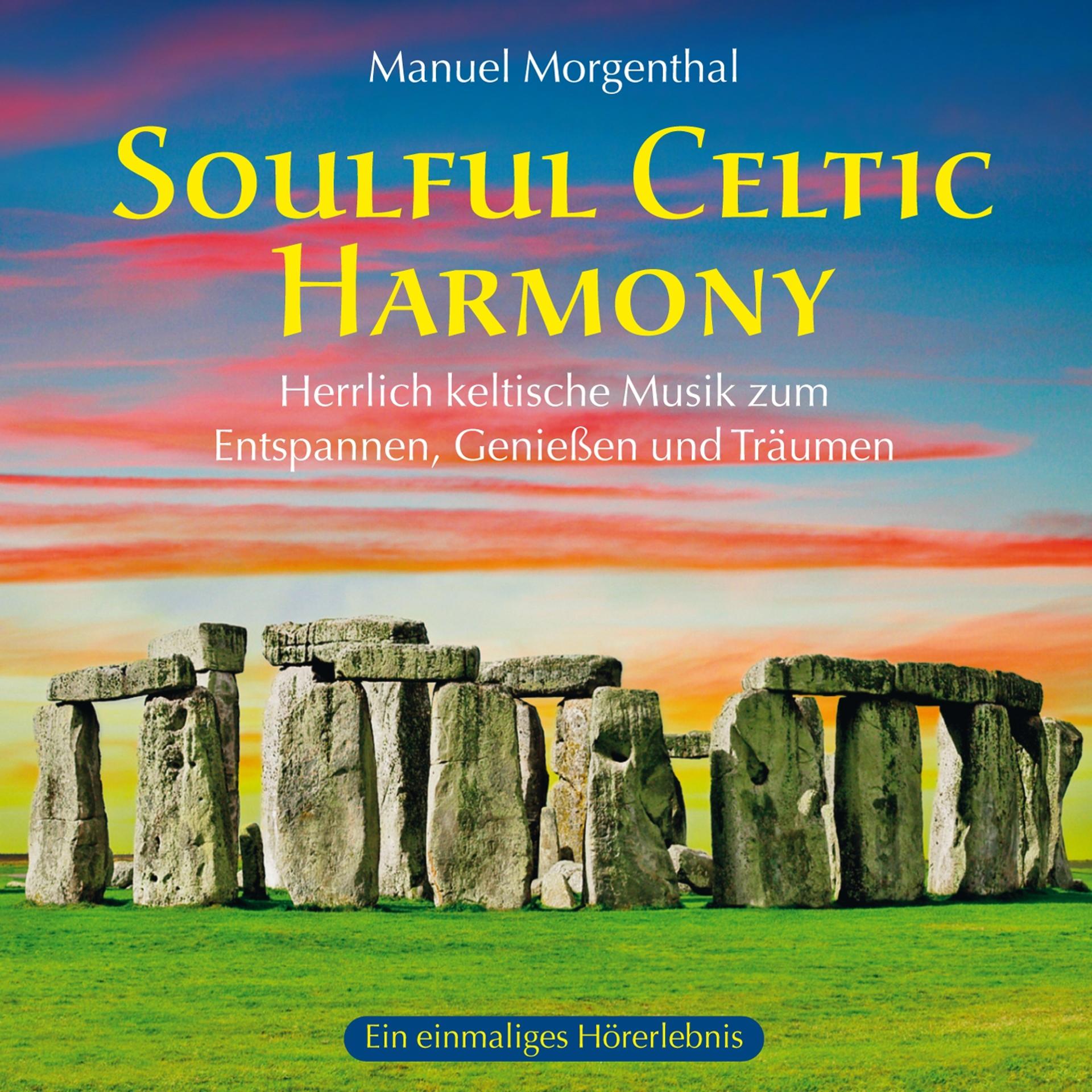 Постер альбома Soulful Celtic Harmony
