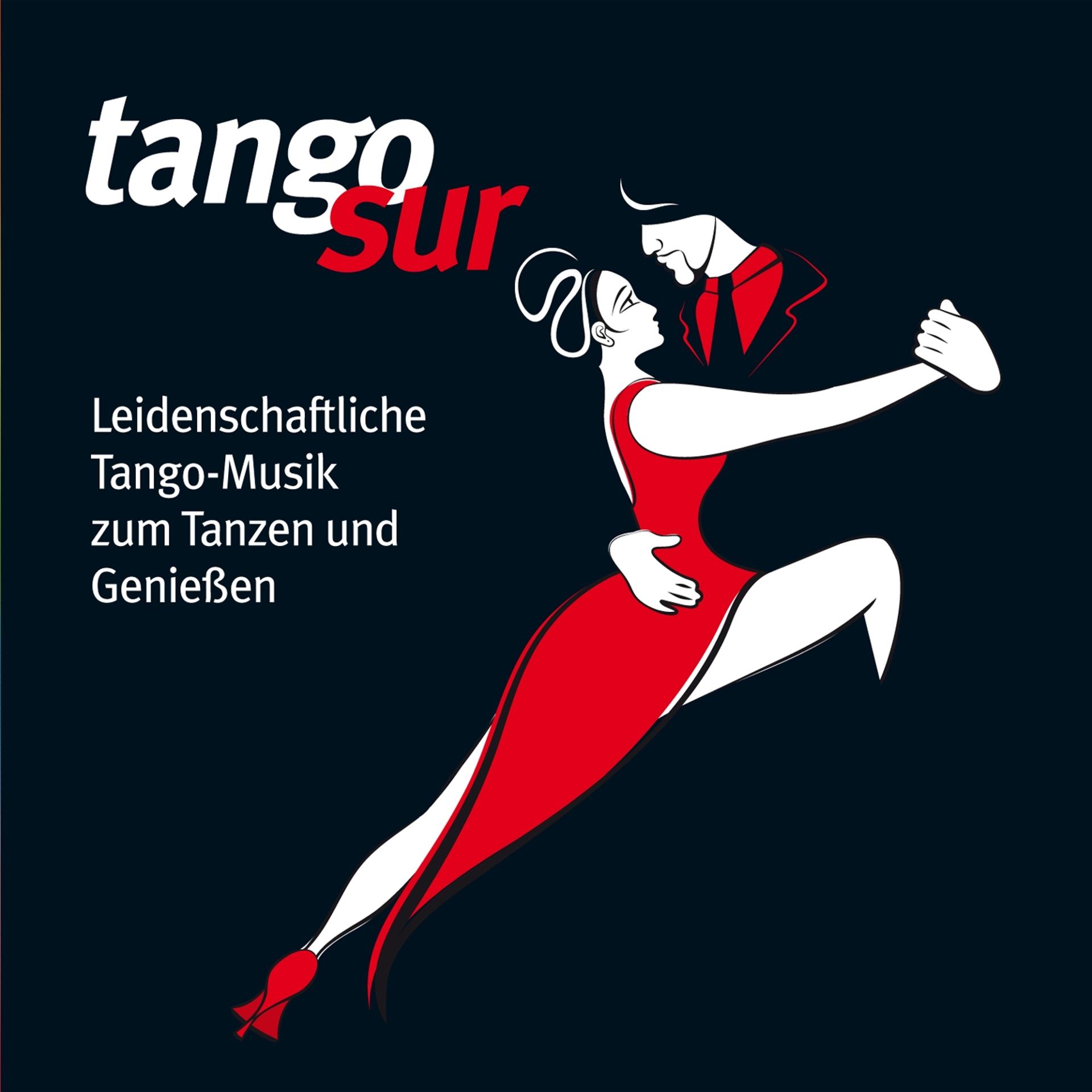 Постер альбома Tango Sur