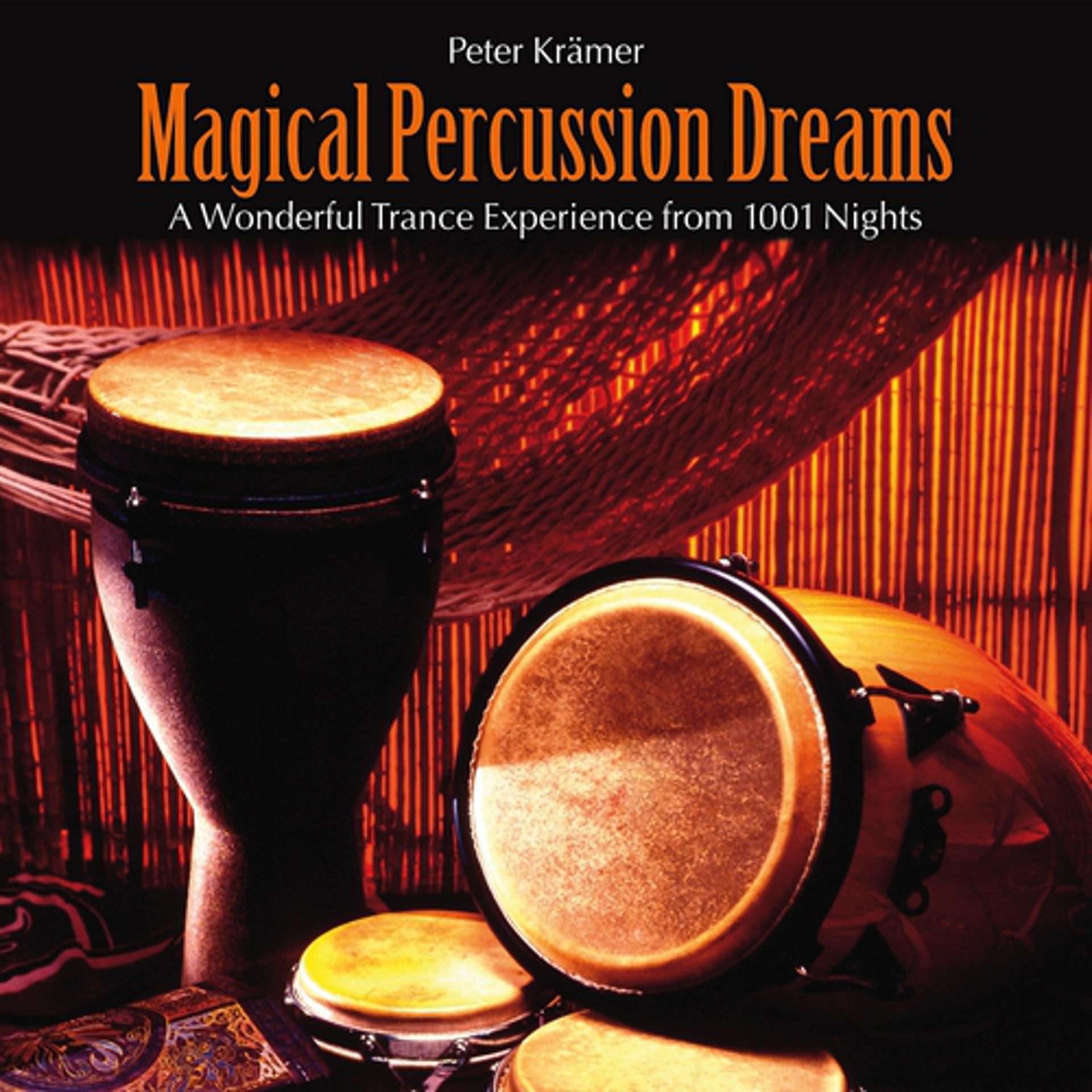 Постер альбома Magical Percussion Dreams