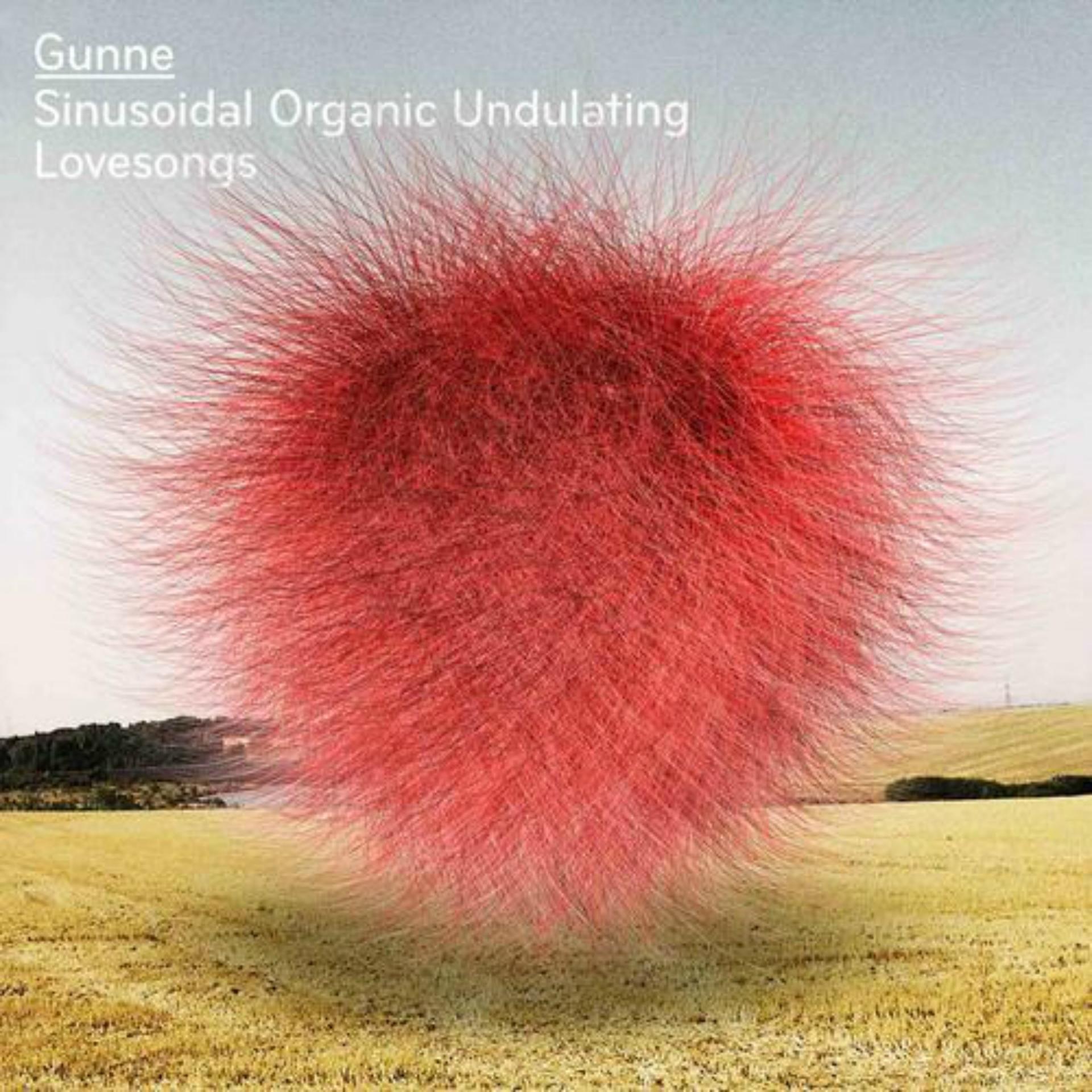 Постер альбома Sinusoidal Organic Undulating Lovesongs