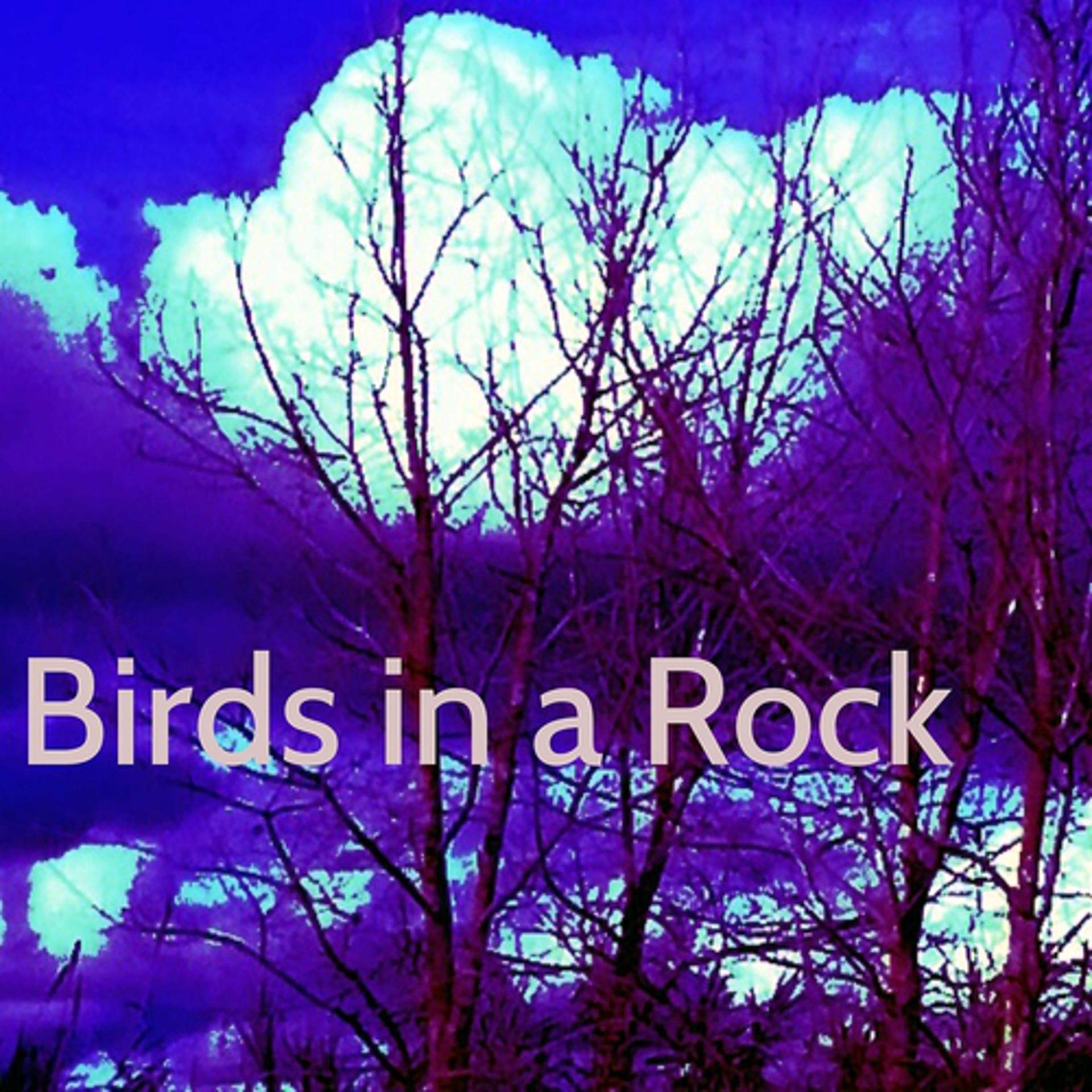 Постер альбома Birds In a Rock