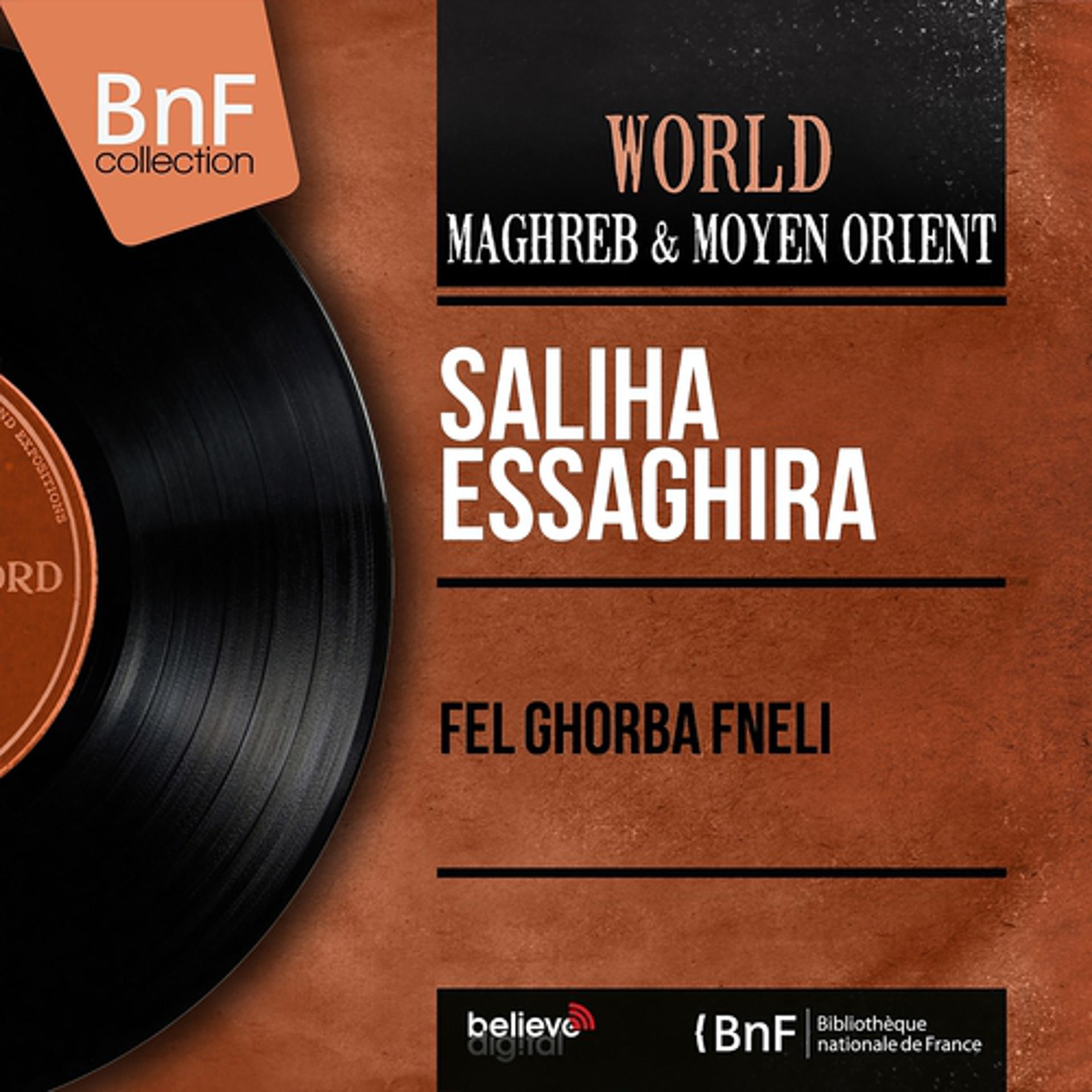 Постер альбома Fel Ghorba Fneli (Mono Version)