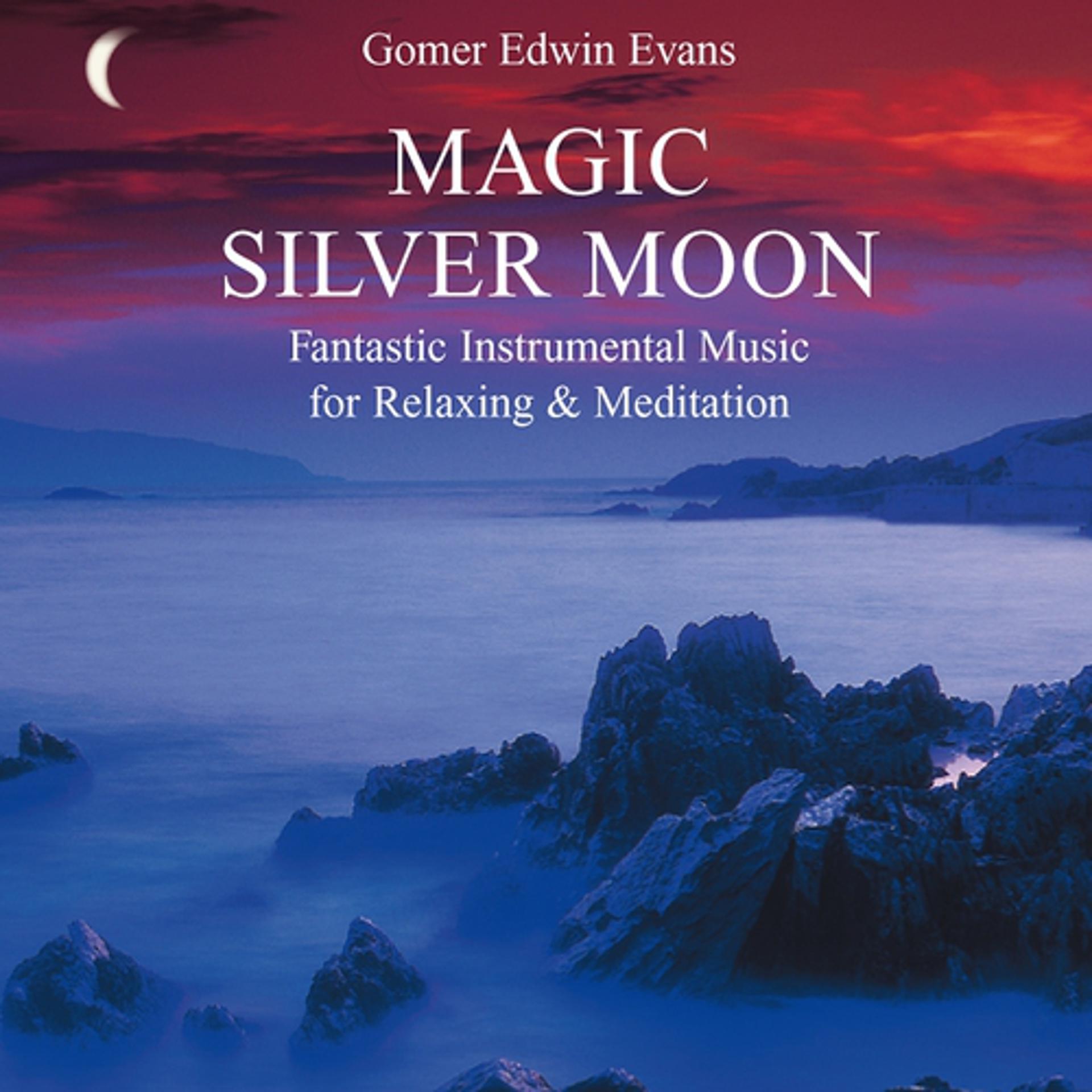 Постер альбома Magic Silver Moon: Fantastic Instrumental Music