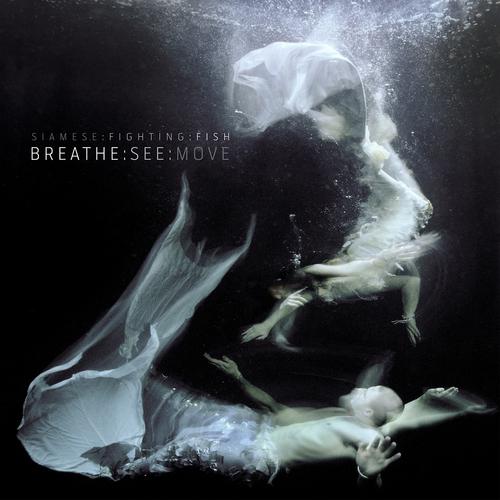 Постер альбома Breathe:See:Move