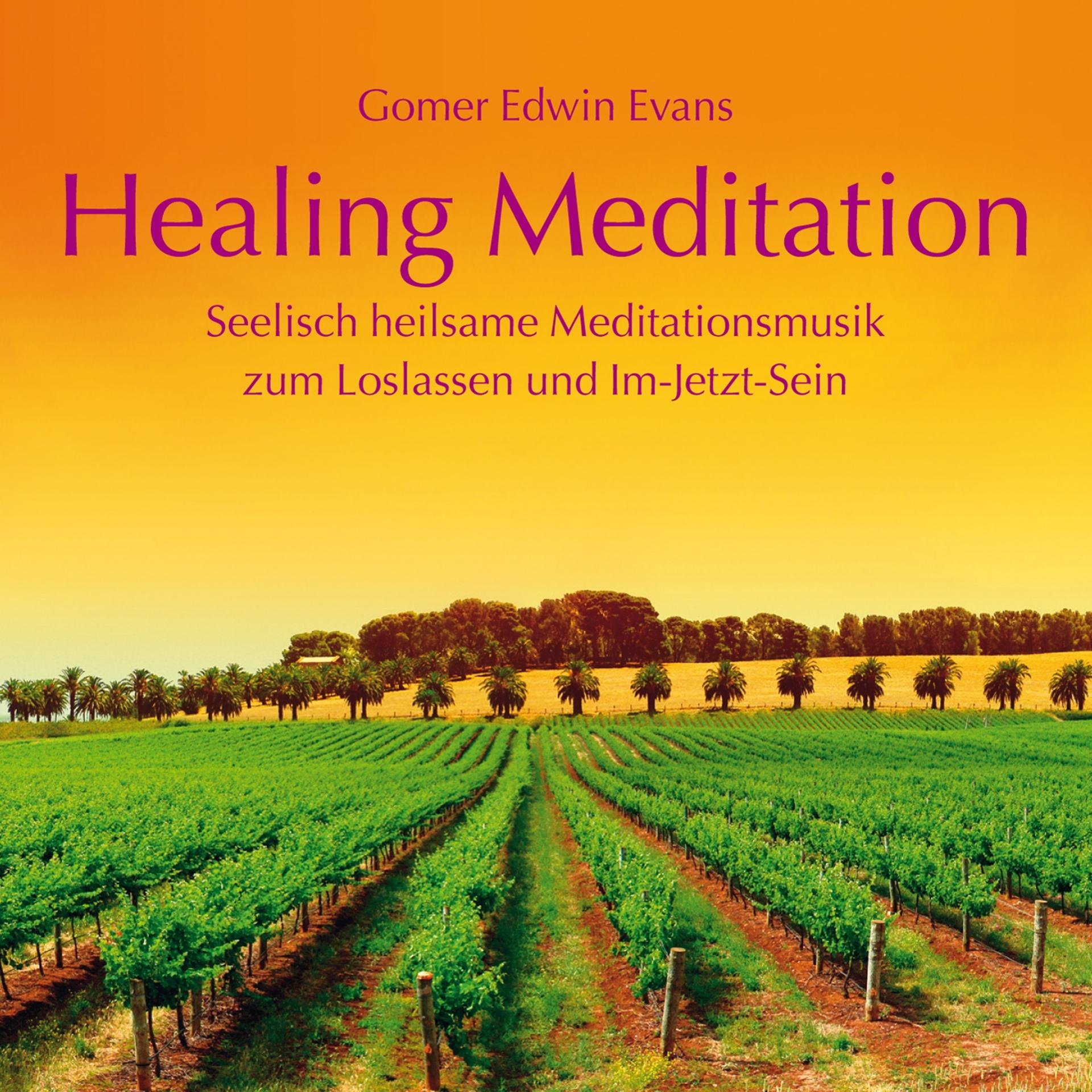 Постер альбома Healing Meditation: Seelisch heilsame Meditationsmusik
