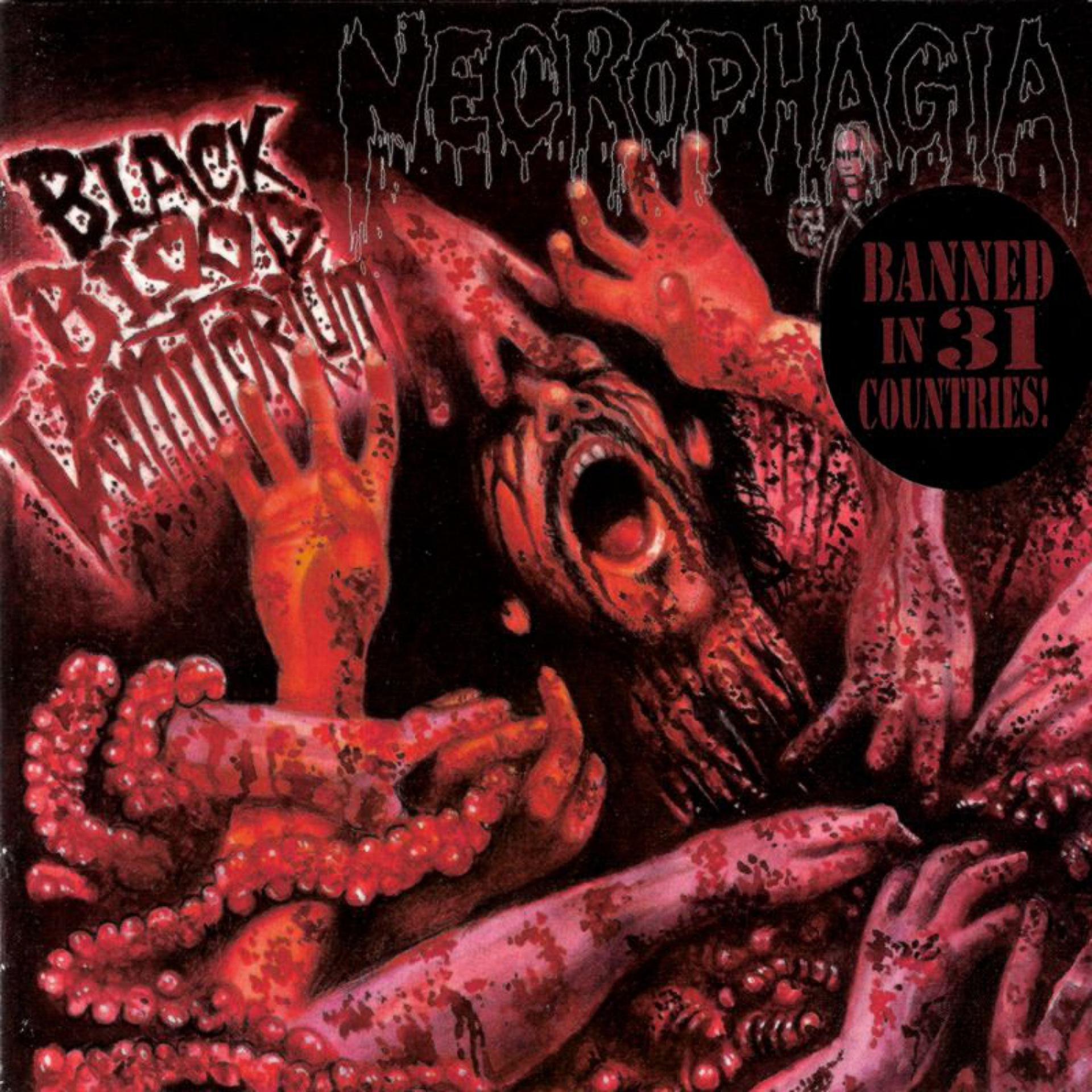 Постер альбома Black Blood Vomitorium