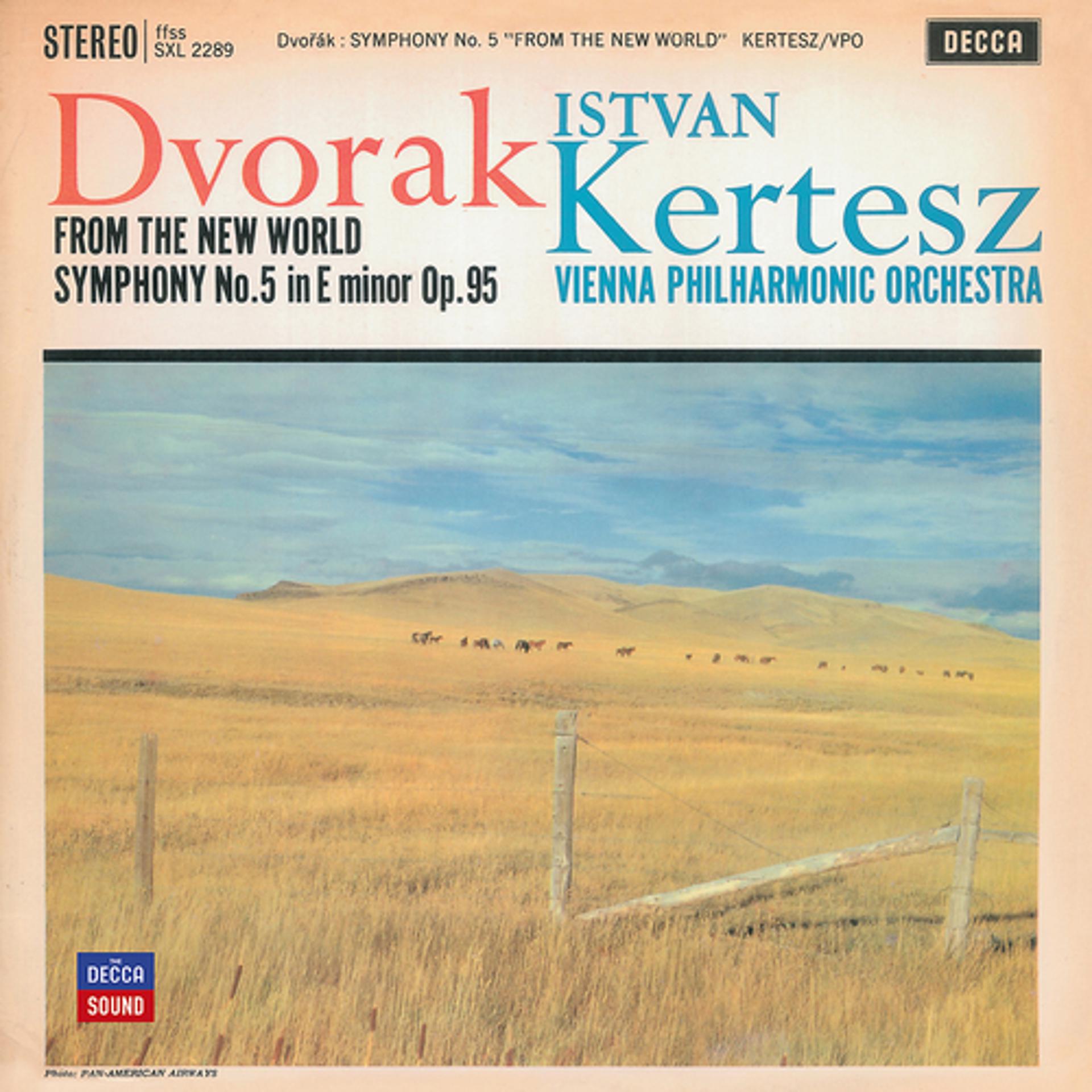 Постер альбома Dvorak: Symphony "From the New World"