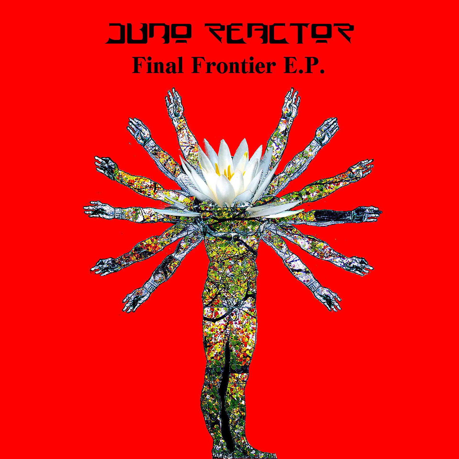 Постер альбома Final Frontier