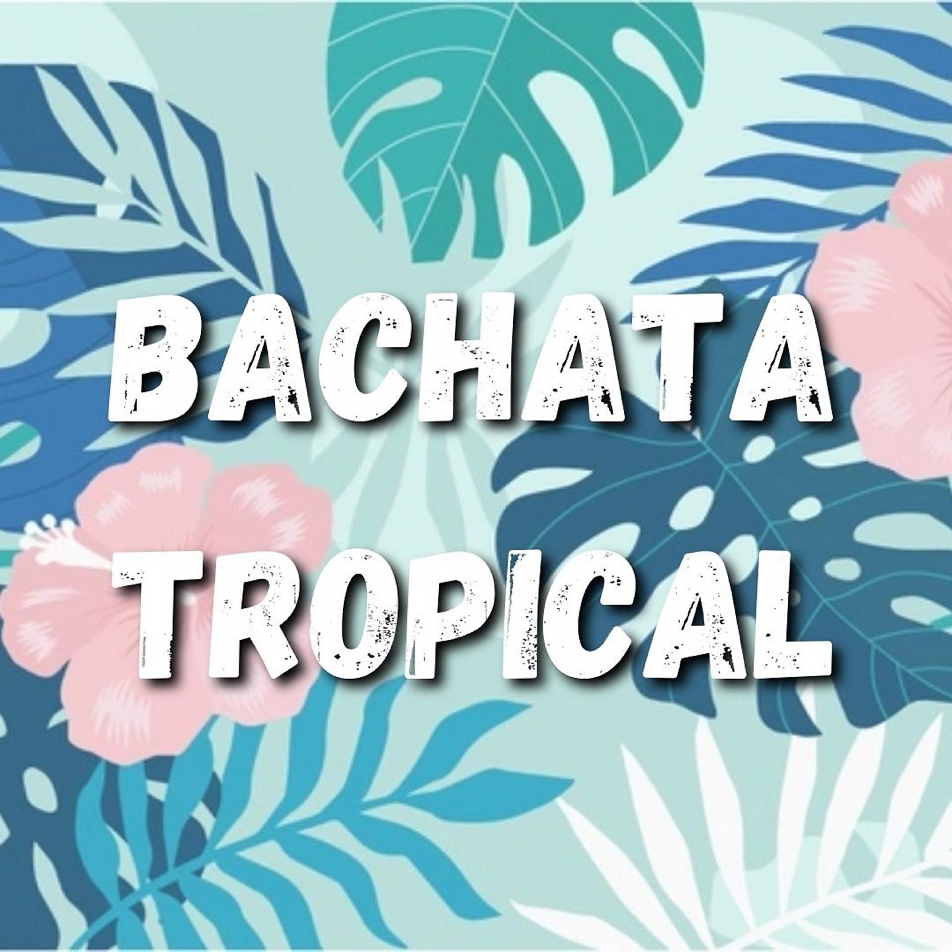 Постер альбома Bachata Tropical