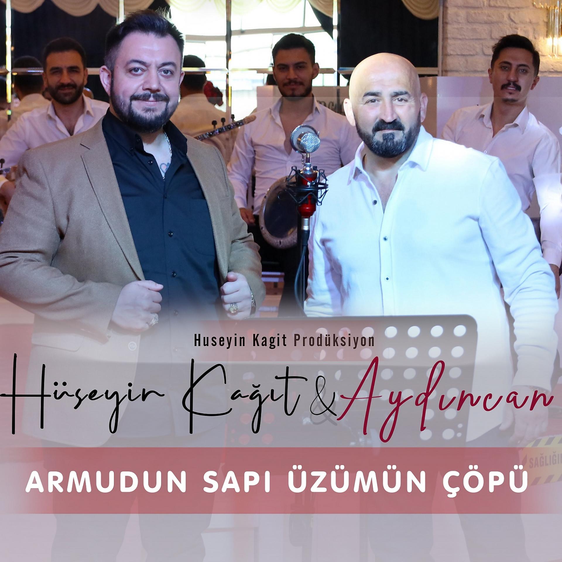 Постер альбома Armudun Sapı Üzümün Çöpü