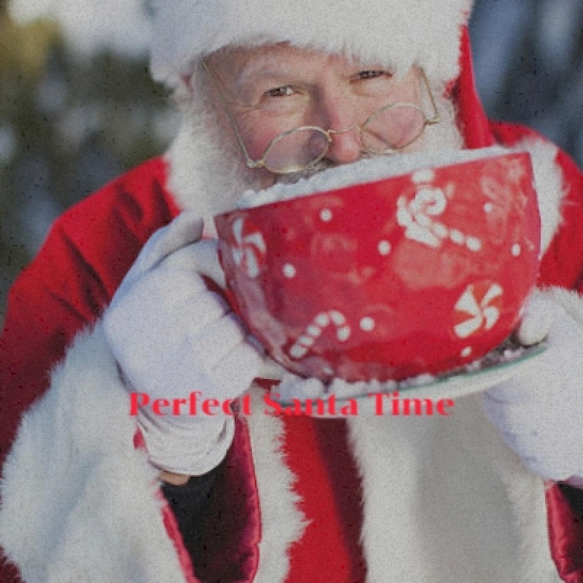 Постер альбома Perfect Santa Time